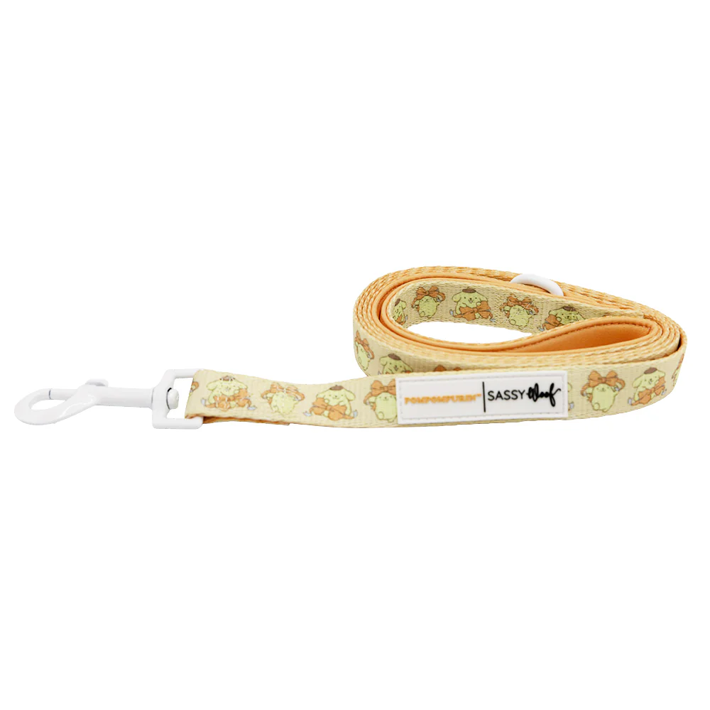 Dog Leash - Pompompurin™ - Image 2