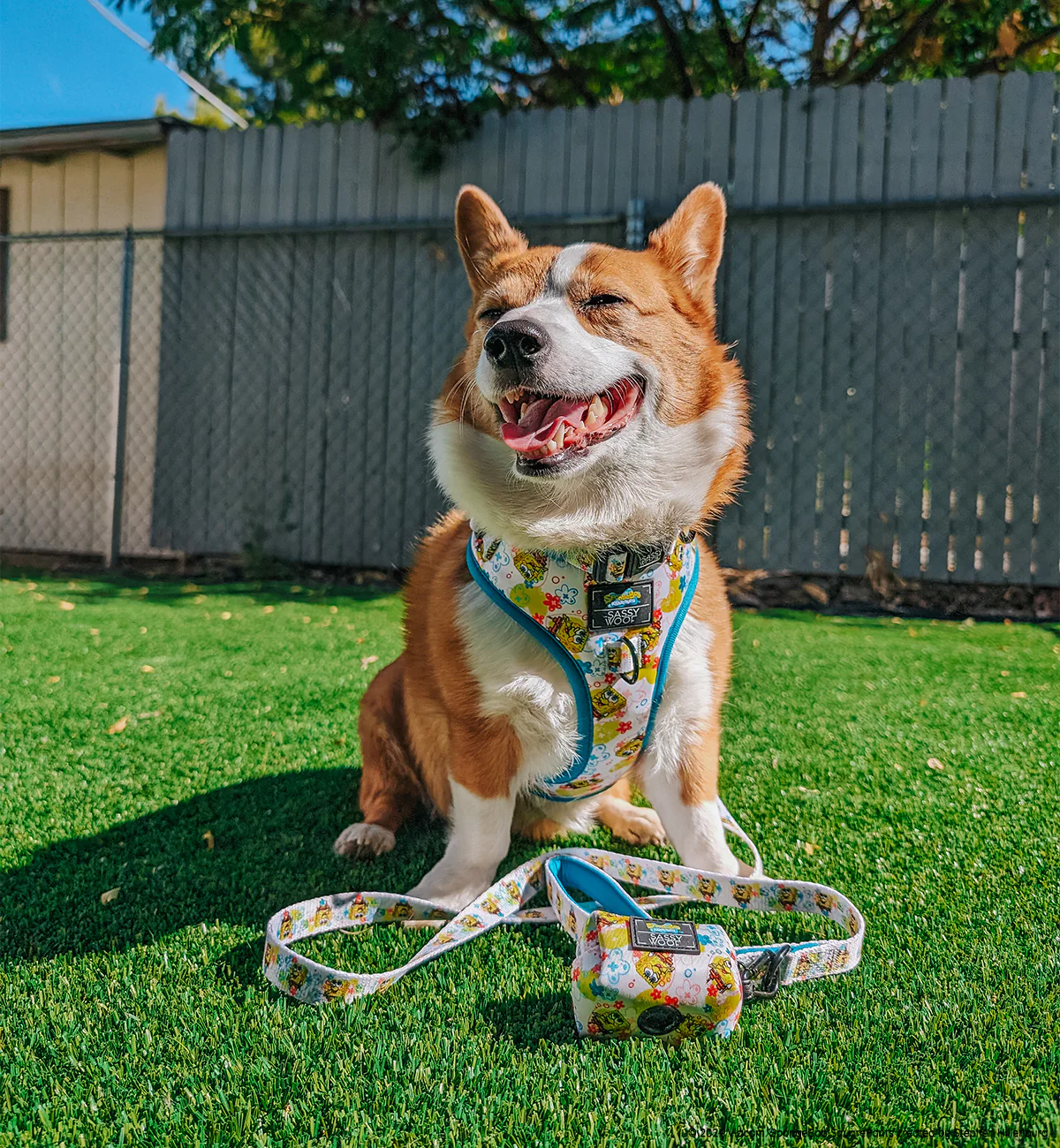 Dog Leash - SpongeBob SquarePants™ Bikini Bottom - Image 11