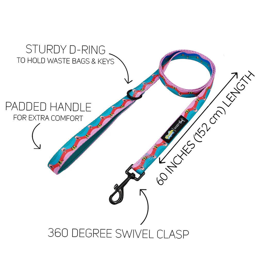 Dog Leash - SpongeBob SquarePants™ and Friends - Image 3