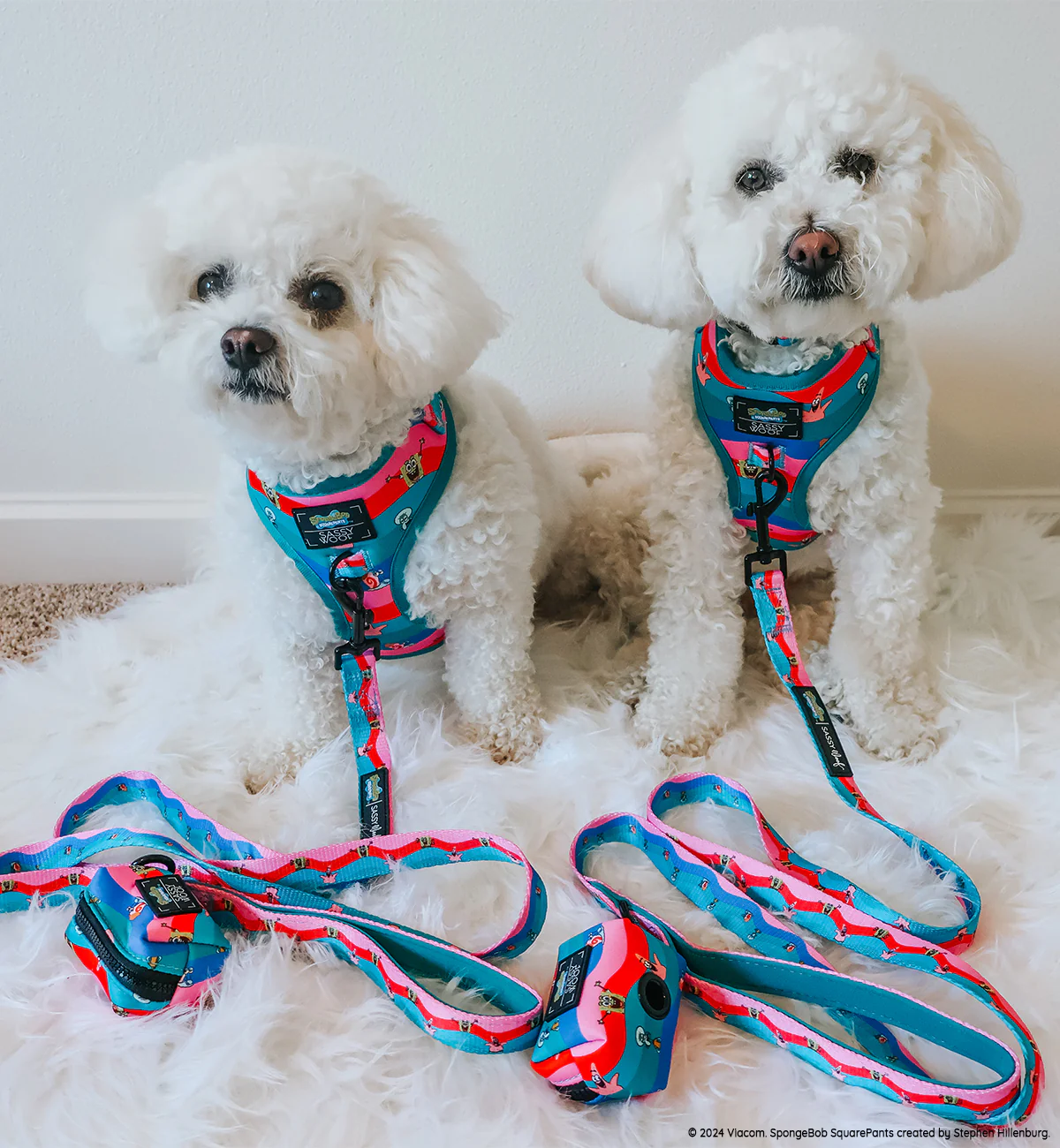Dog Leash - SpongeBob SquarePants™ and Friends - Image 7