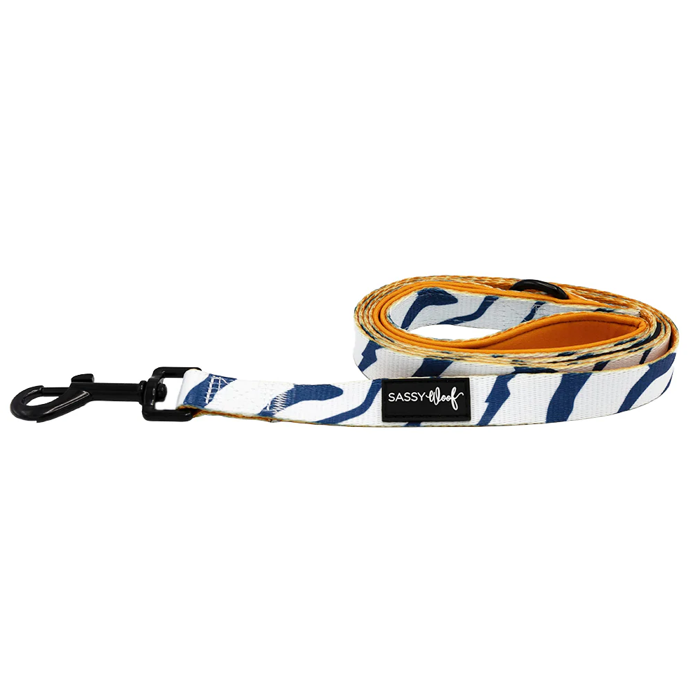 Dog Leash - STAR WARS™ Ahsoka - Image 2