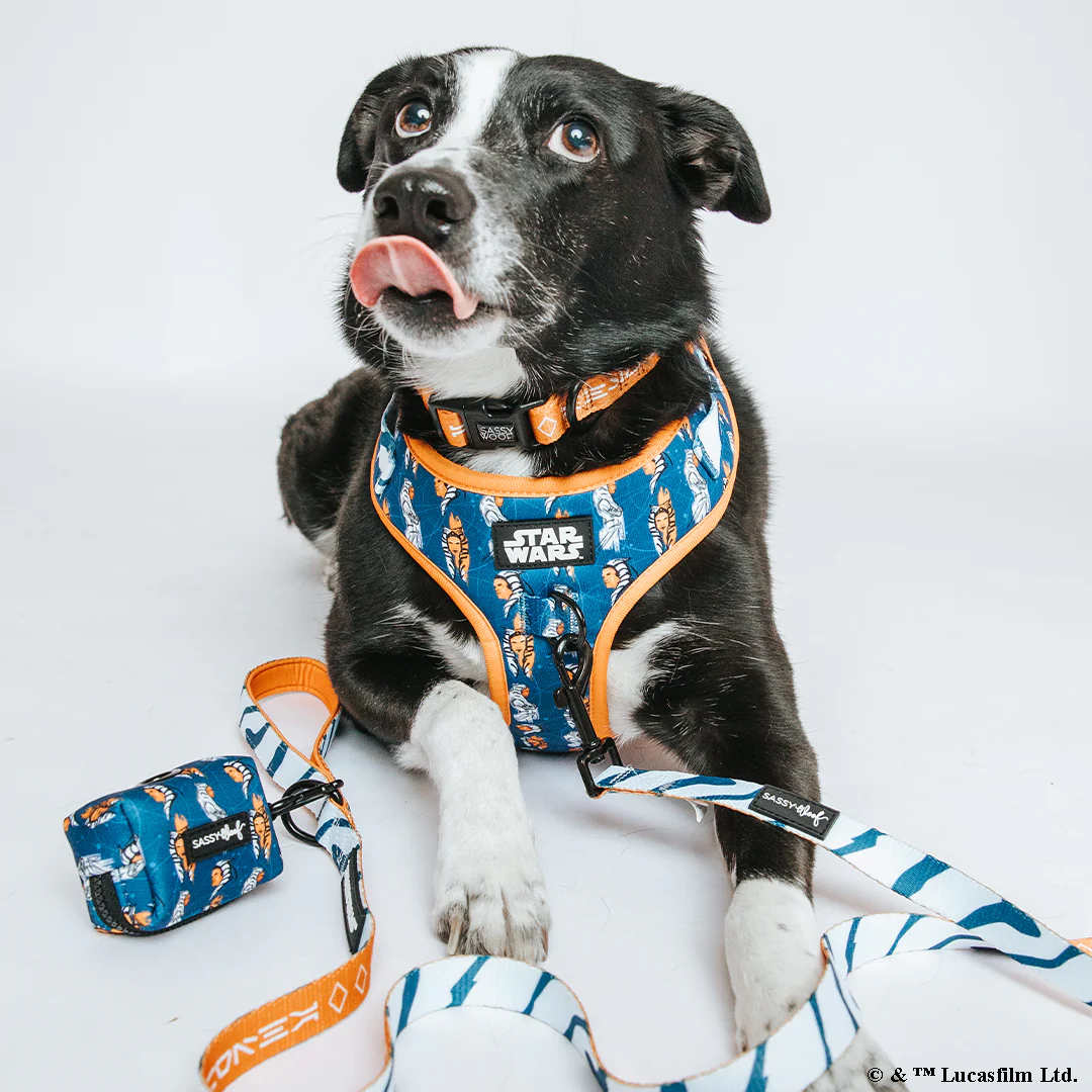 Dog Leash - STAR WARS™ Ahsoka - Image 6