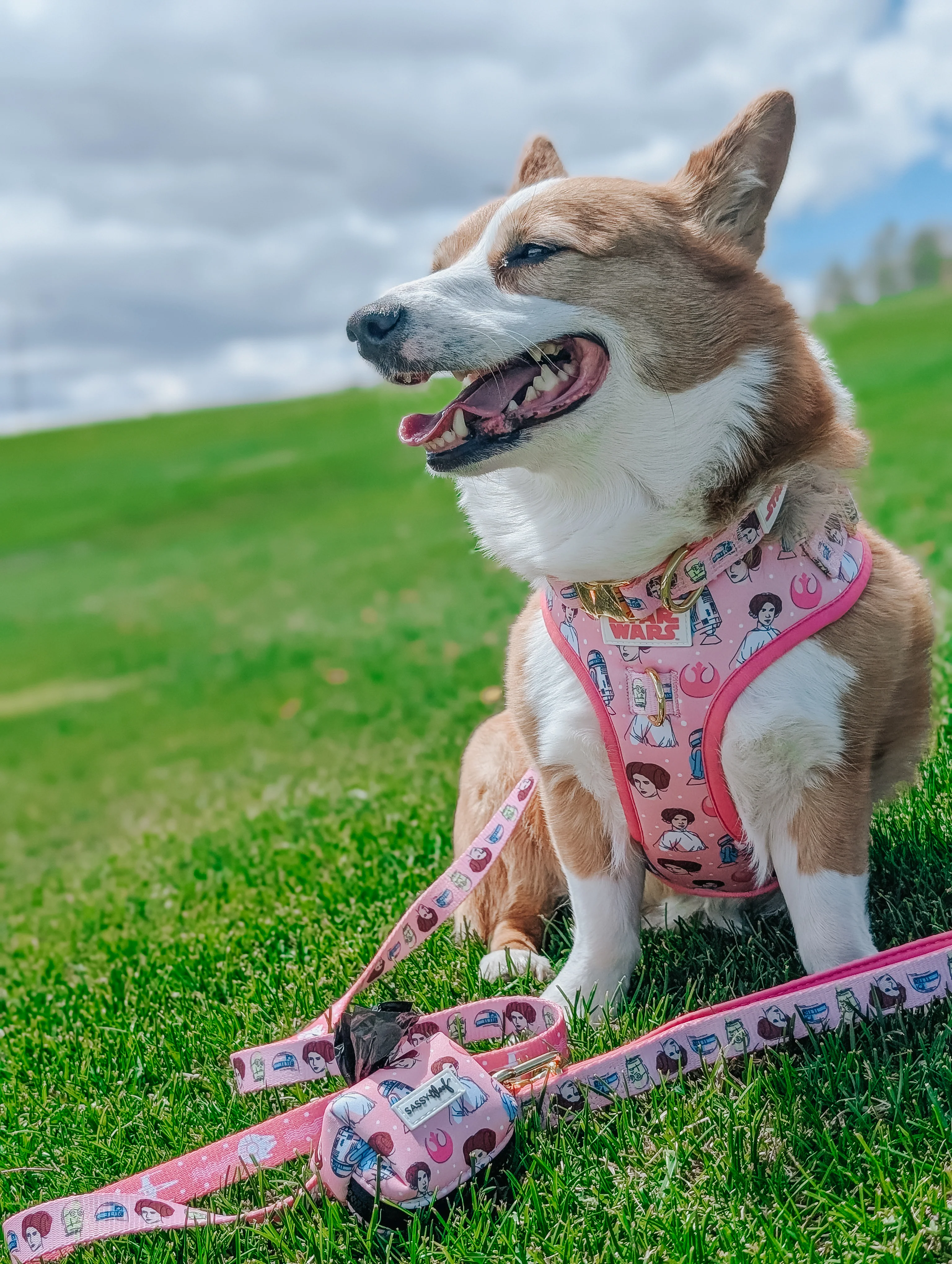 Dog Leash - STAR WARS™ Princess Leia - Image 14