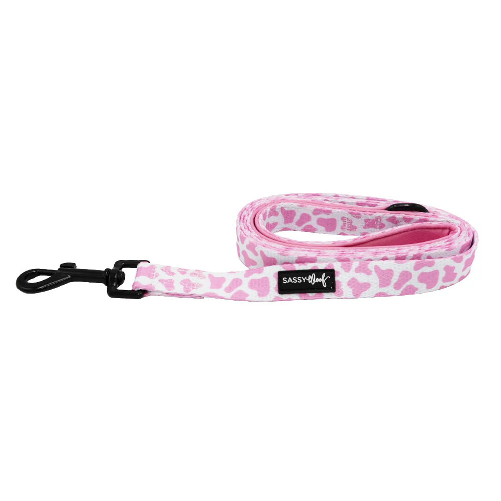 Dog Leash - Strawberry Milk - Image 2