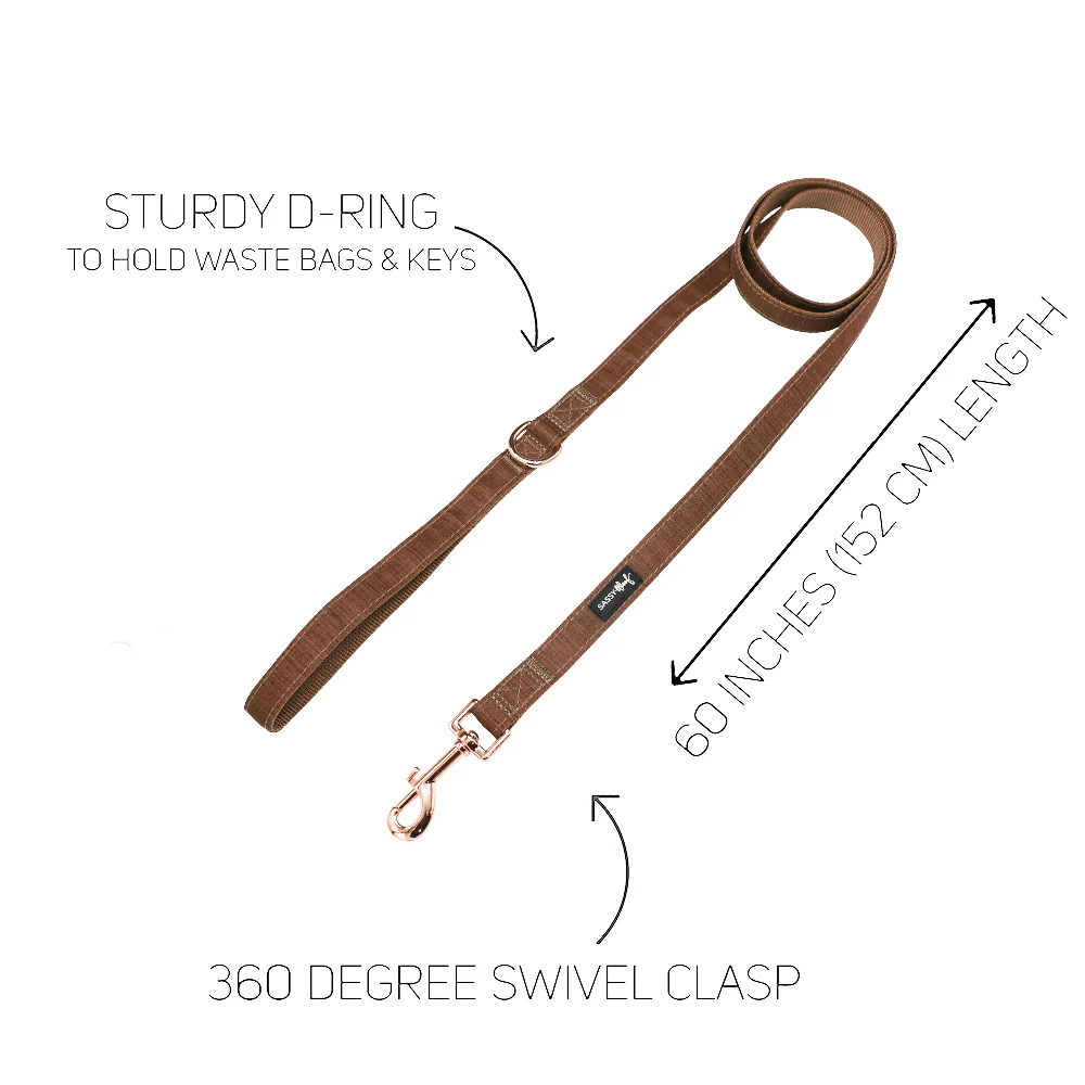Dog Leash - Teddy - Image 3