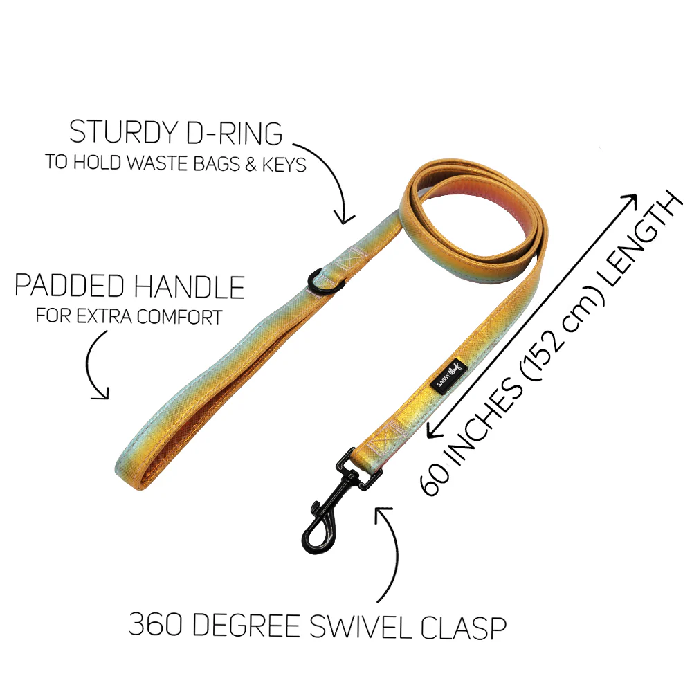 Dog Leash - The Night Life - Image 3