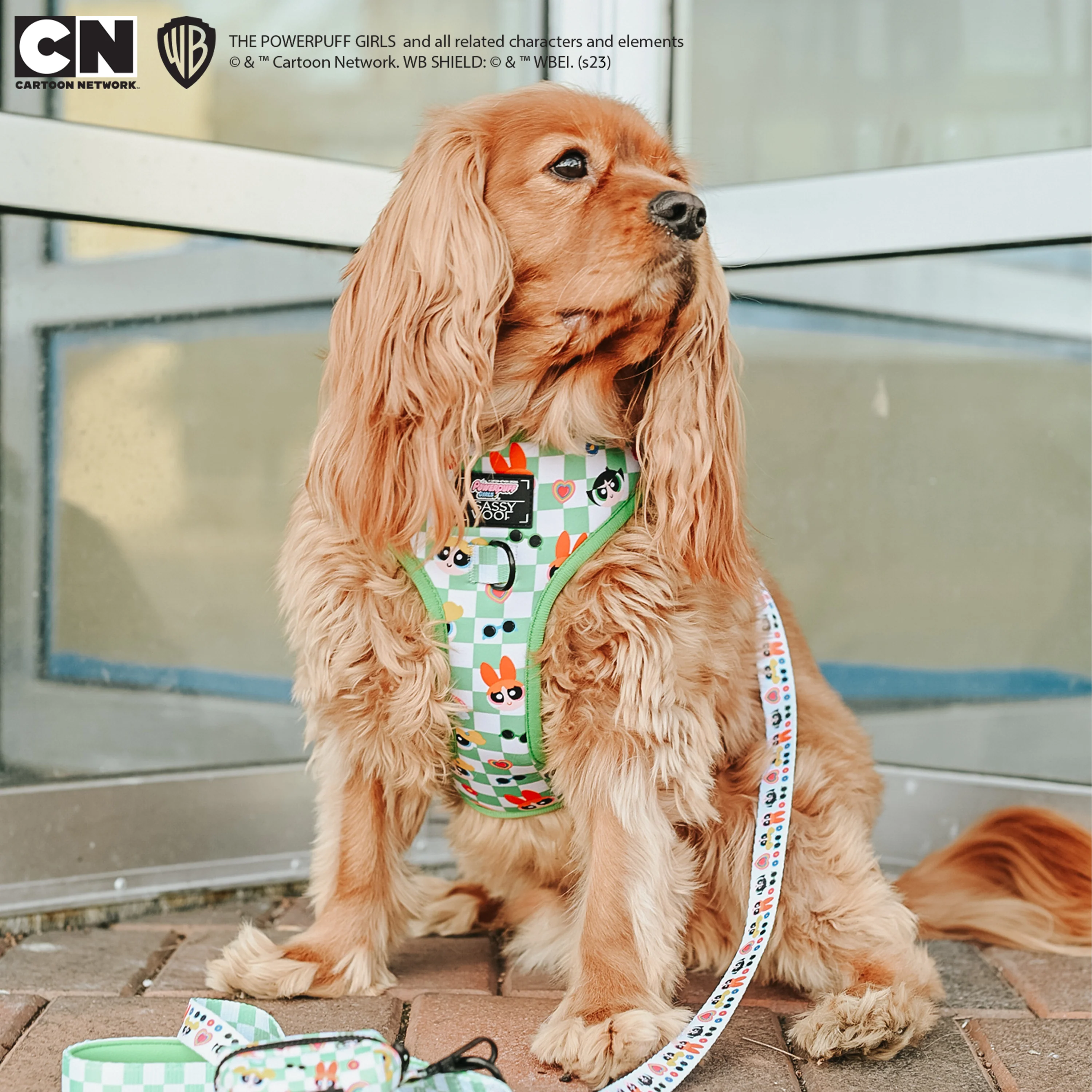 Dog Leash - The Powerpuff Girls™ (Green) - Image 10