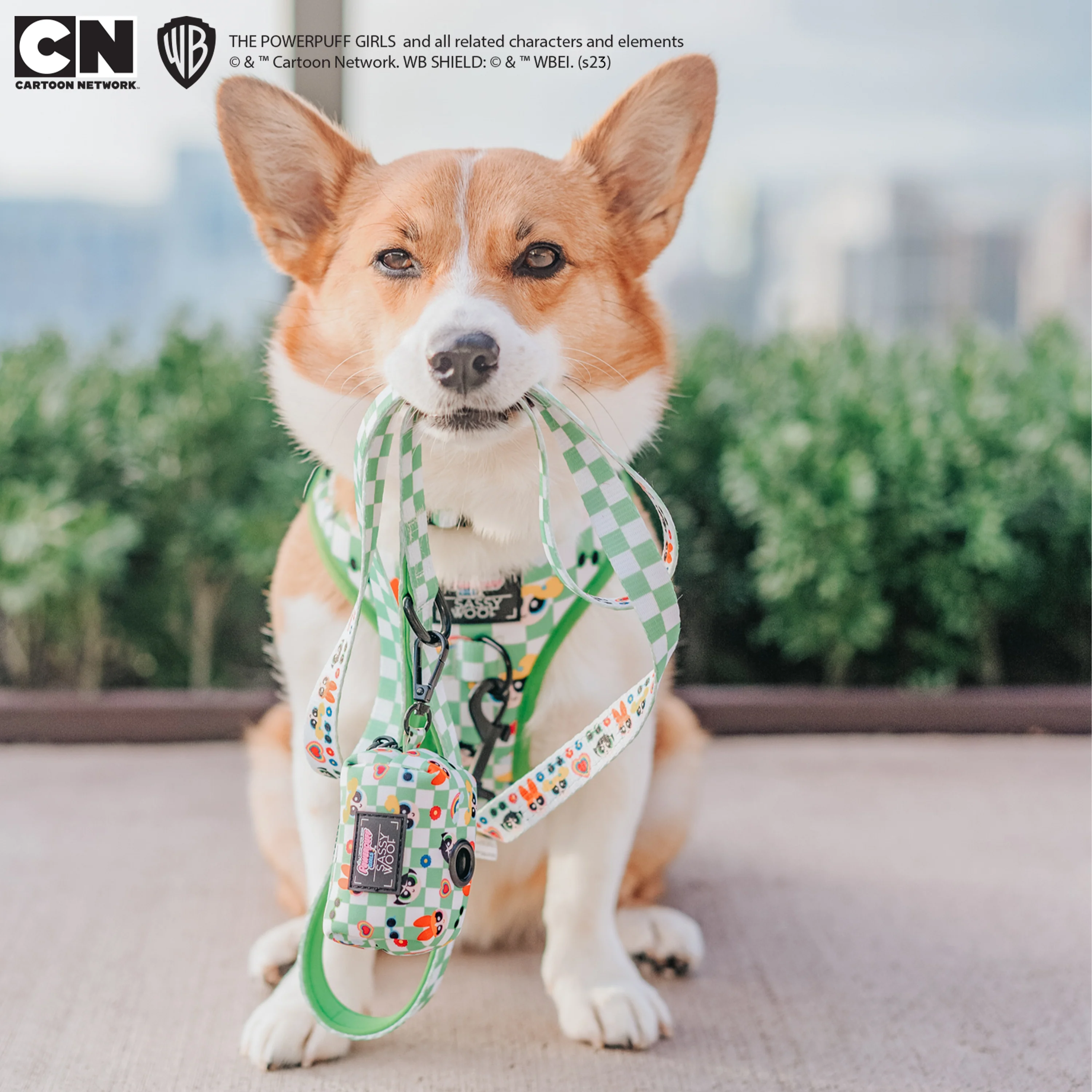 Dog Leash - The Powerpuff Girls™ (Green) - Image 14