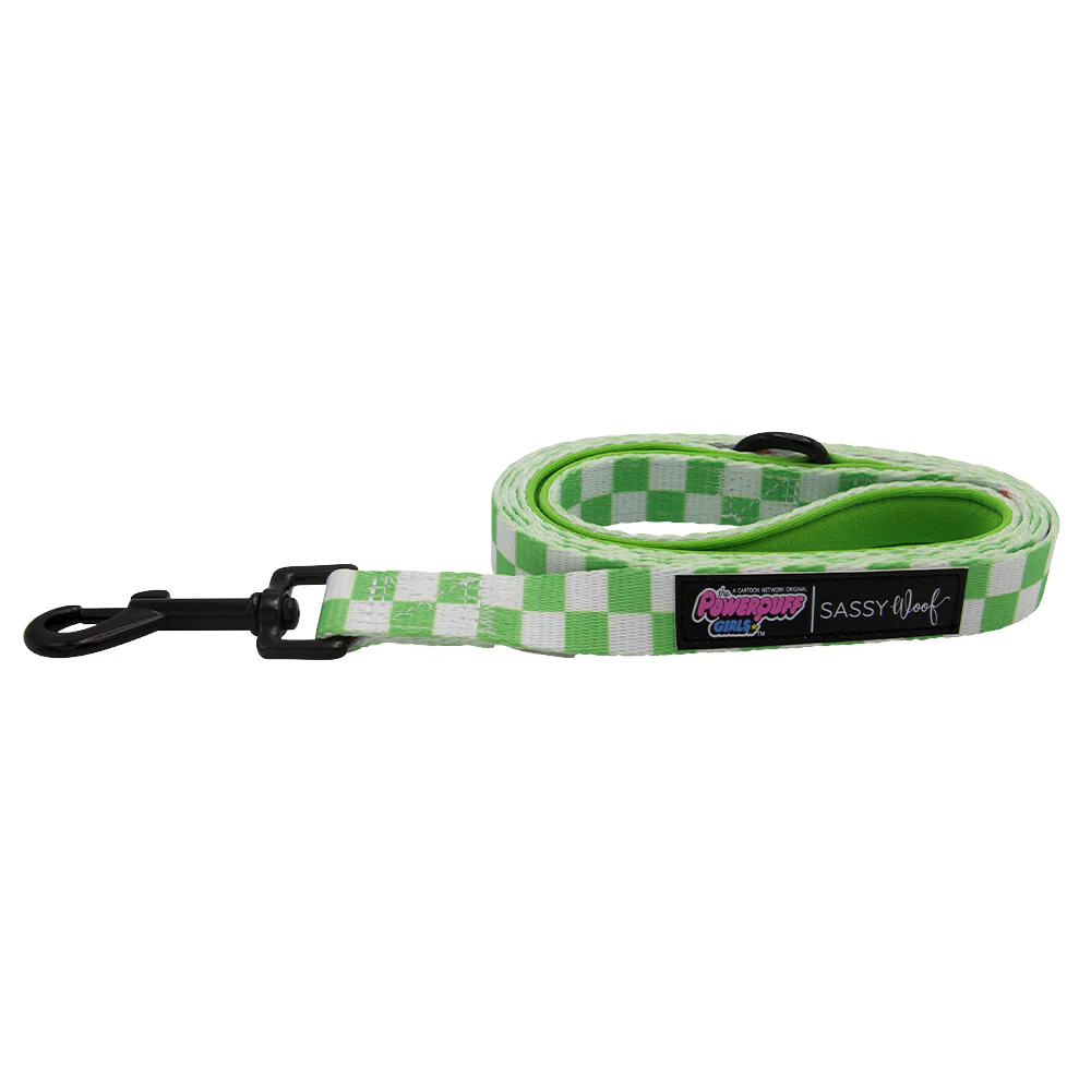 Dog Leash - The Powerpuff Girls™ (Green) - Image 2