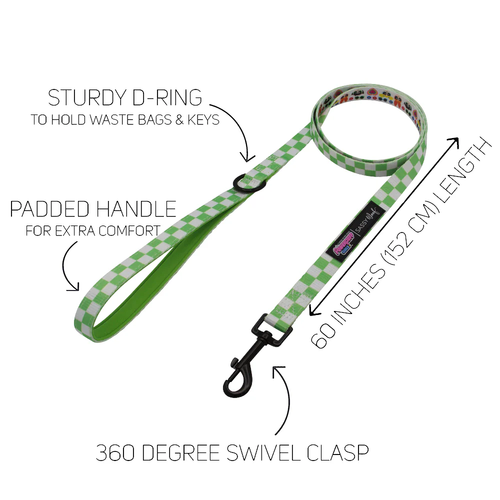 Dog Leash - The Powerpuff Girls™ (Green) - Image 4