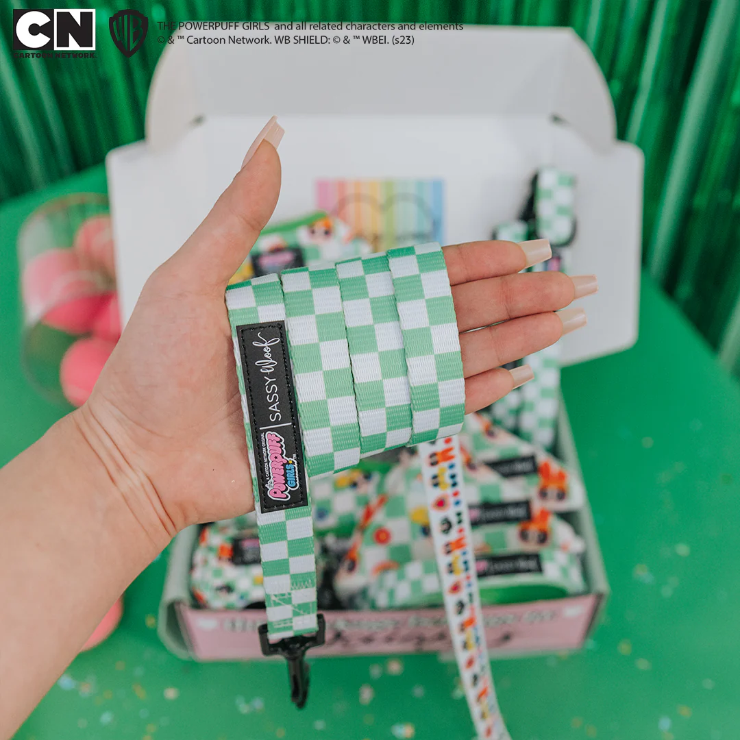 Dog Leash - The Powerpuff Girls™ (Green) - Image 5