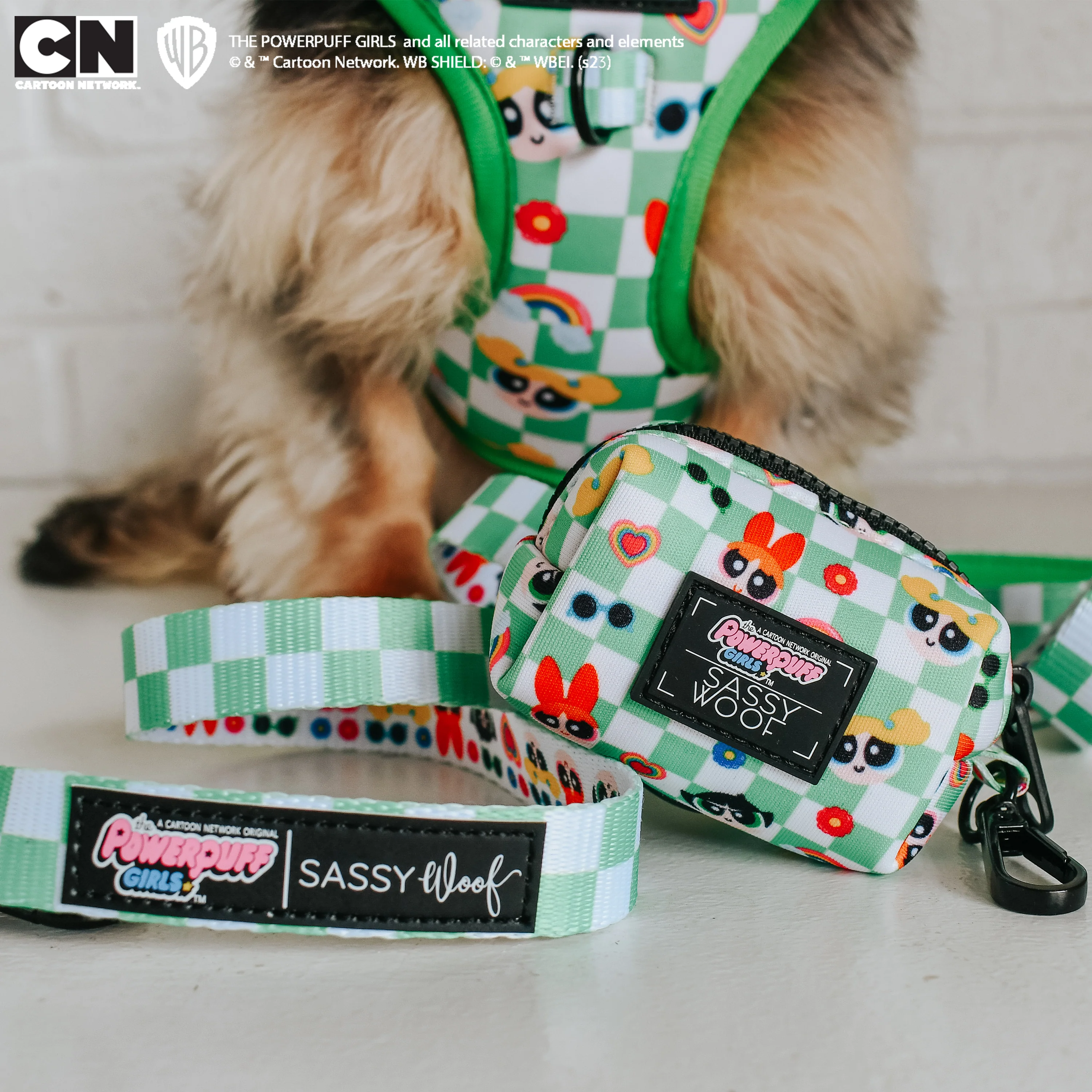Dog Leash - The Powerpuff Girls™ (Green) - Image 6