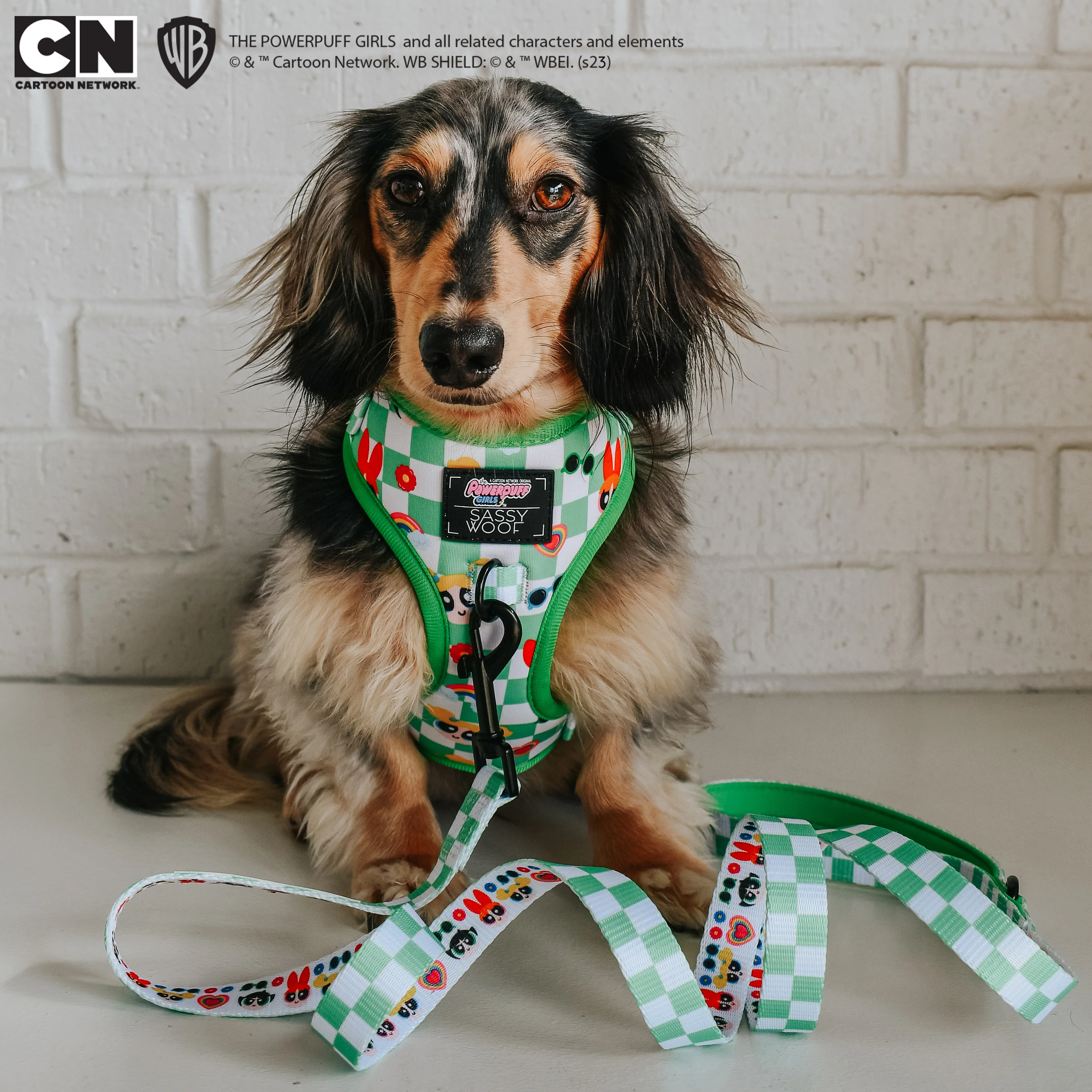 Dog Leash - The Powerpuff Girls™ (Green) - Image 7
