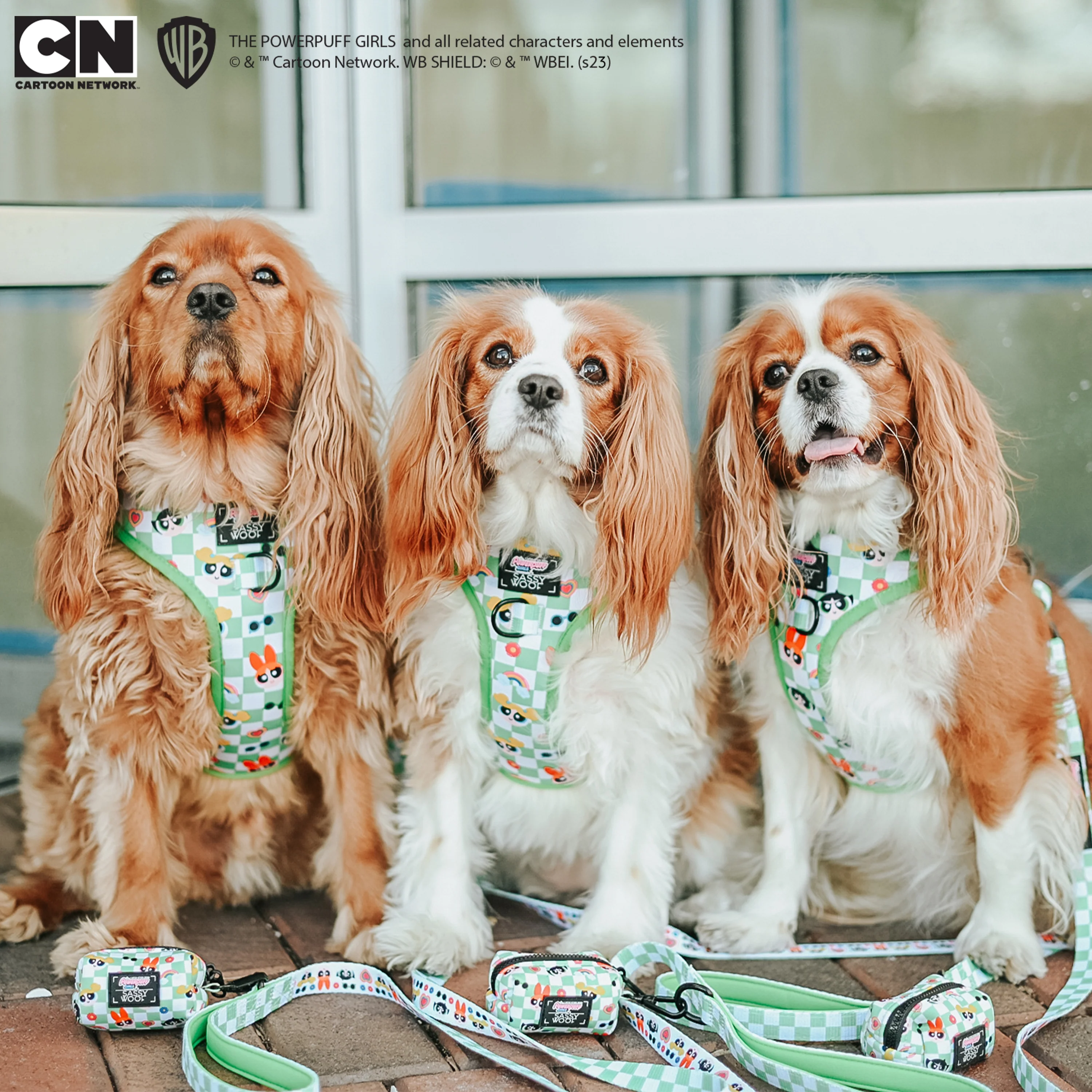 Dog Leash - The Powerpuff Girls™ (Green) - Image 9