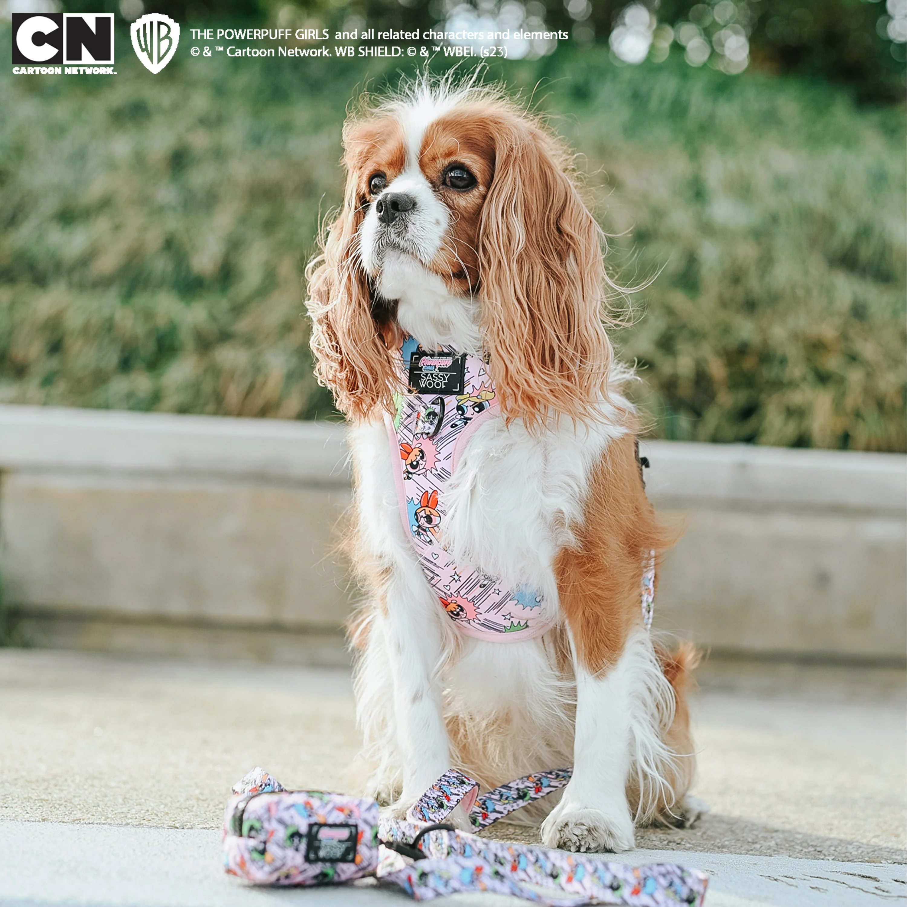 Dog Leash - The Powerpuff Girls™ (Pink) - Image 10