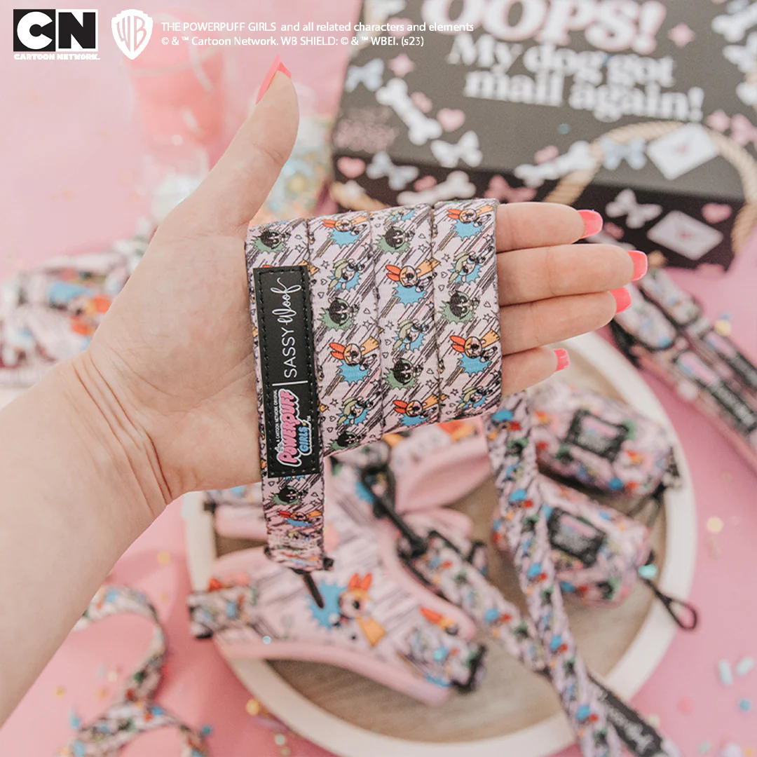 Dog Leash - The Powerpuff Girls™ (Pink) - Image 5