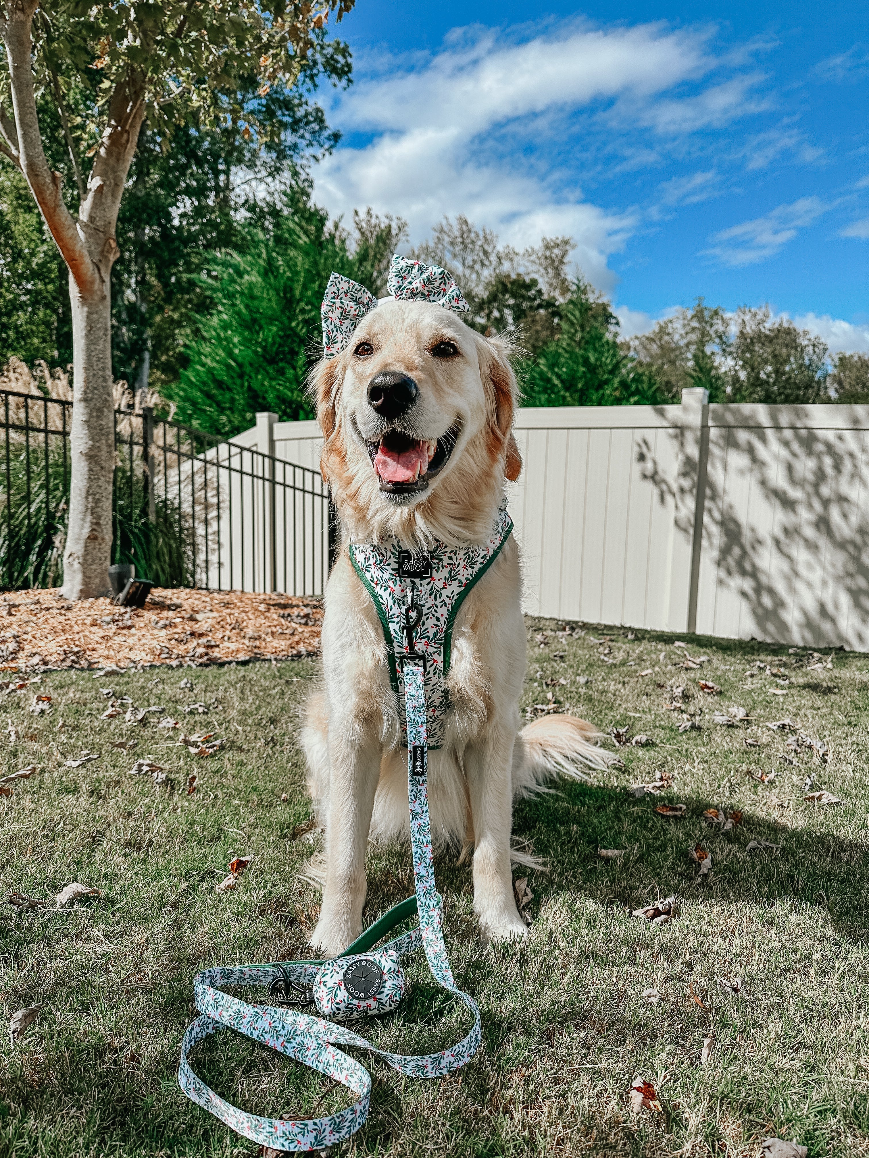 Dog Leash - Under The Mistletoe - Image 5