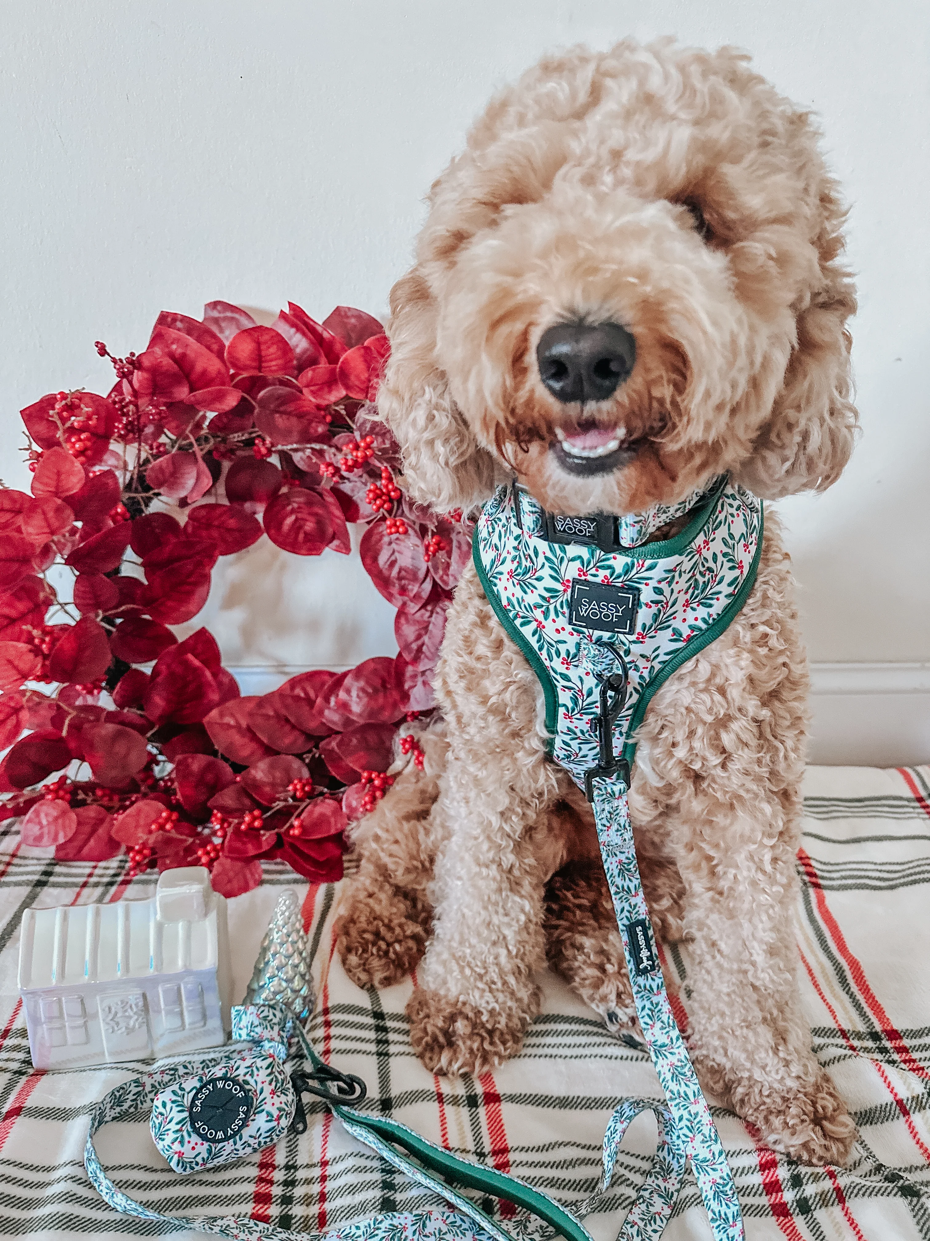 Dog Leash - Under The Mistletoe - Image 7