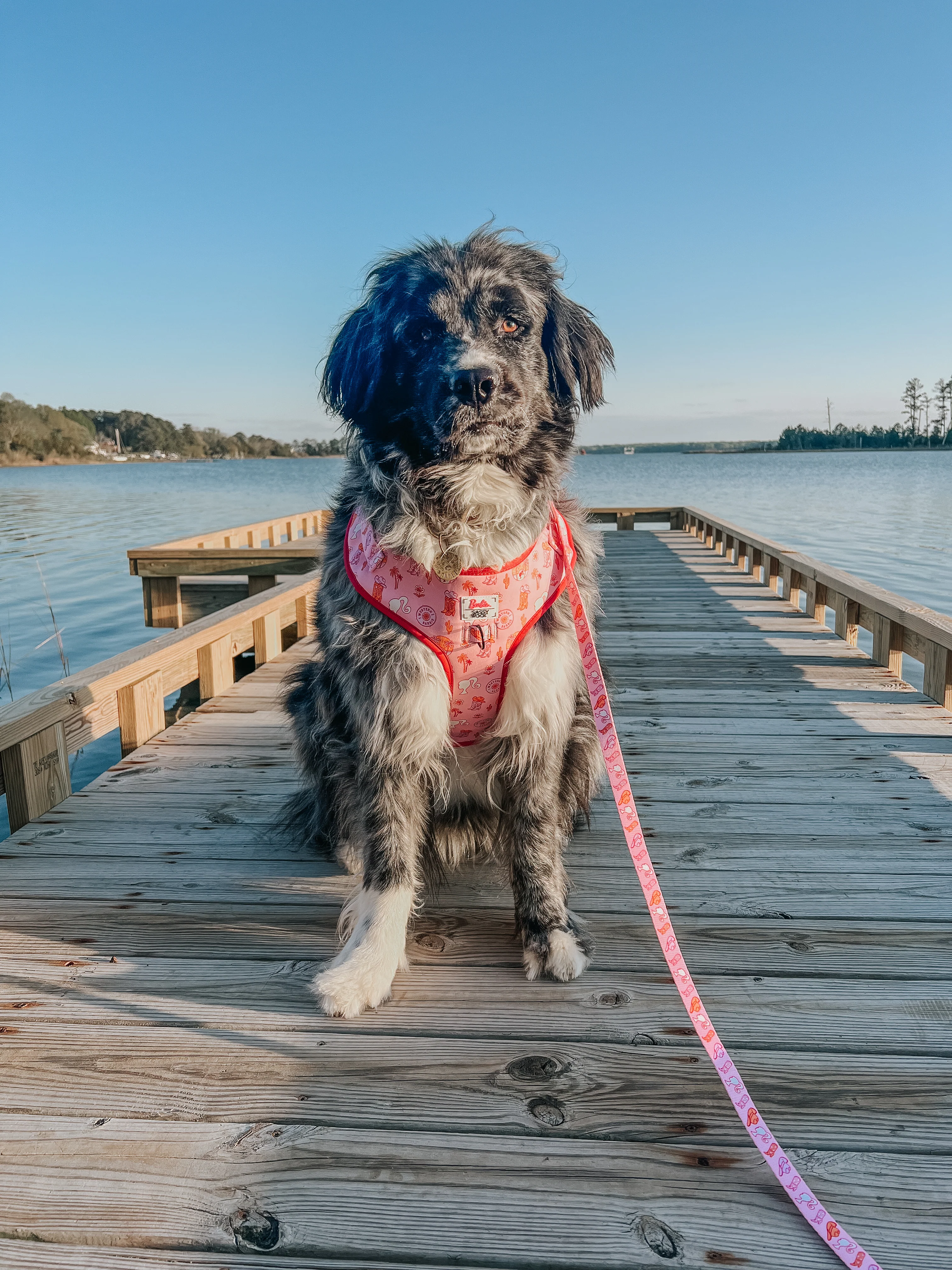 Dog Leash - Western Barbie™ - Image 8