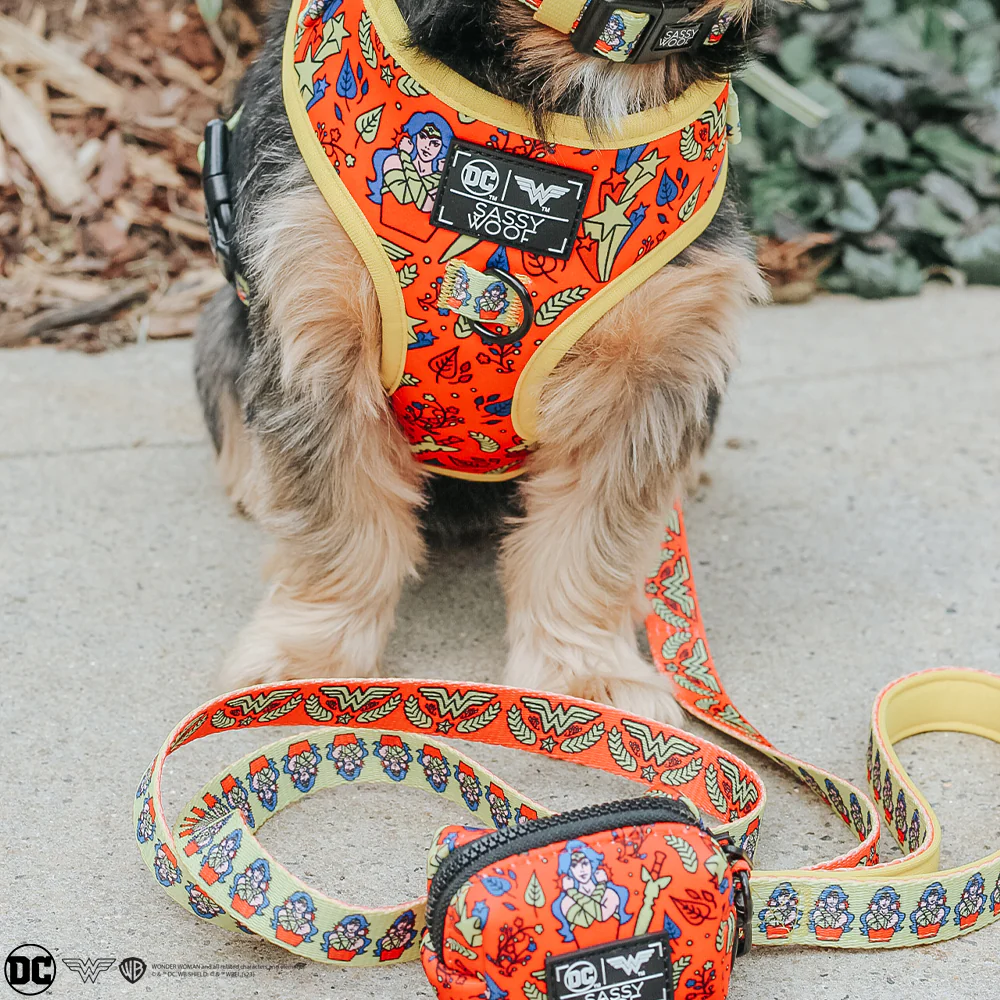 Dog Leash - Wonder Woman™ - Image 5