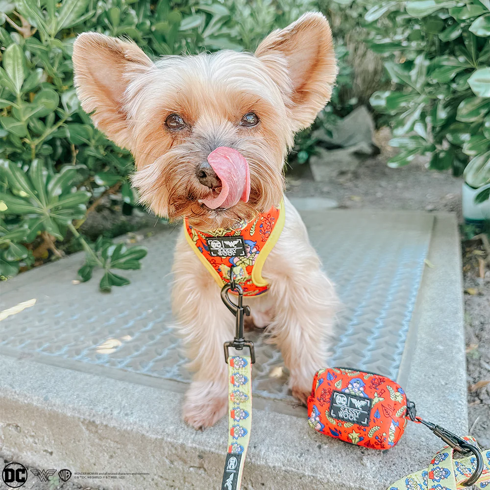 Dog Leash - Wonder Woman™ - Image 7