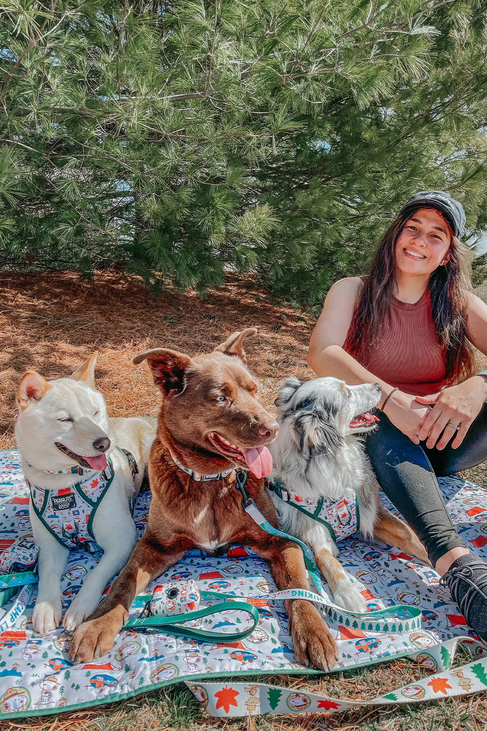 Dog Picnic Blanket - Peanuts™ Beagle Scouts - Image 11