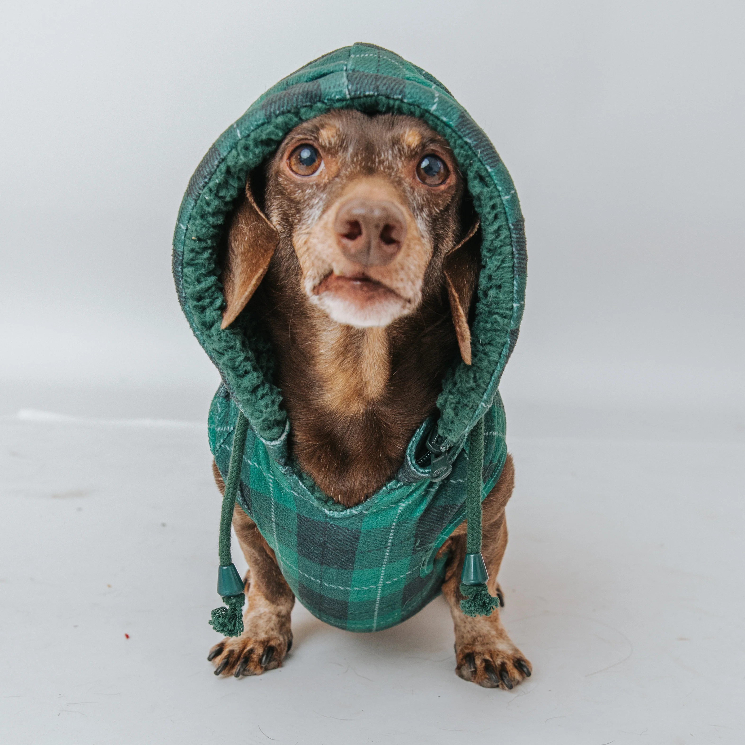 Dog Reversible Sherpa Jacket - Barks of Holly - Image 3