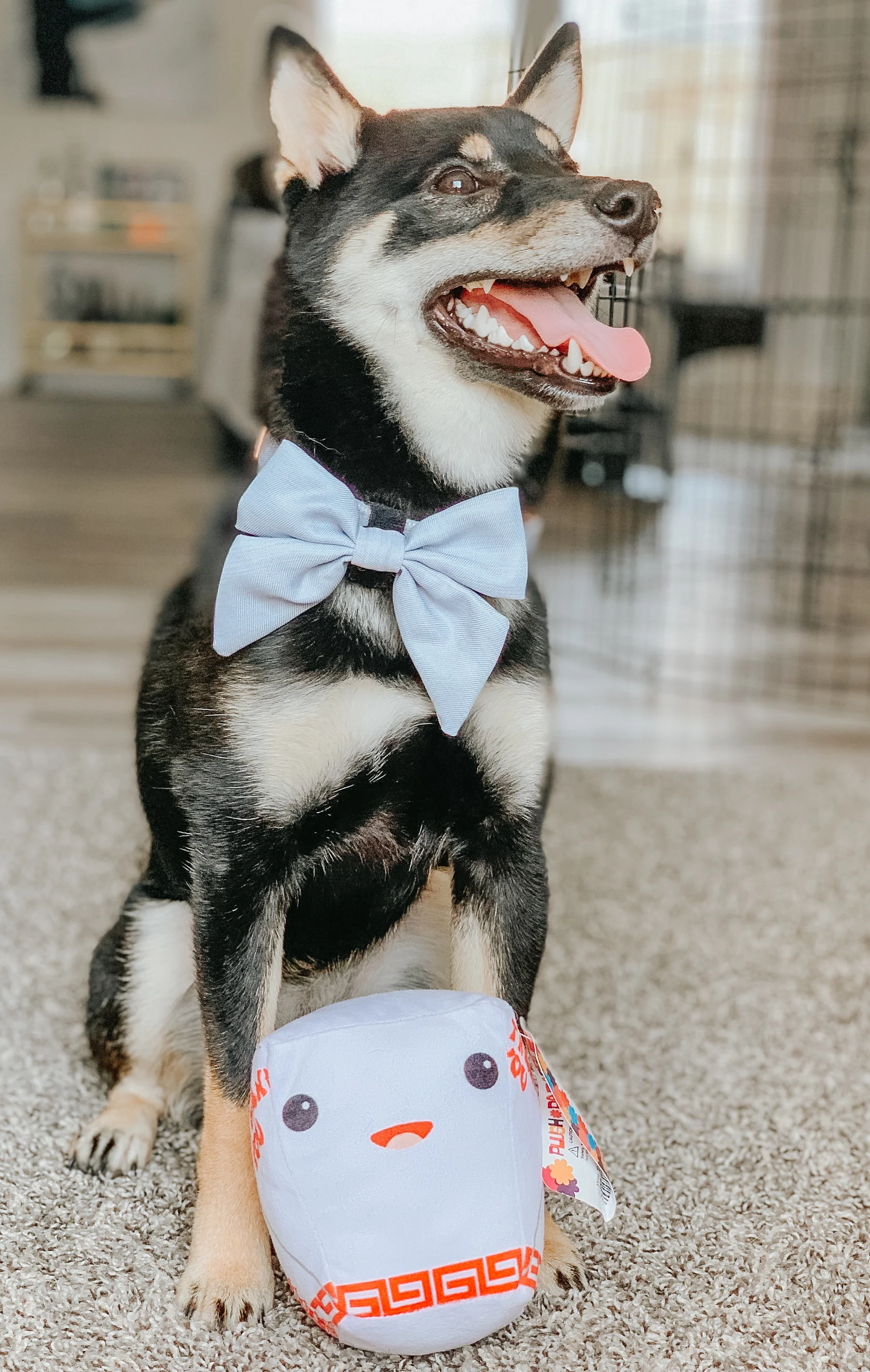 Dog Sailor Bow - 50 Shades of Sass - Image 6