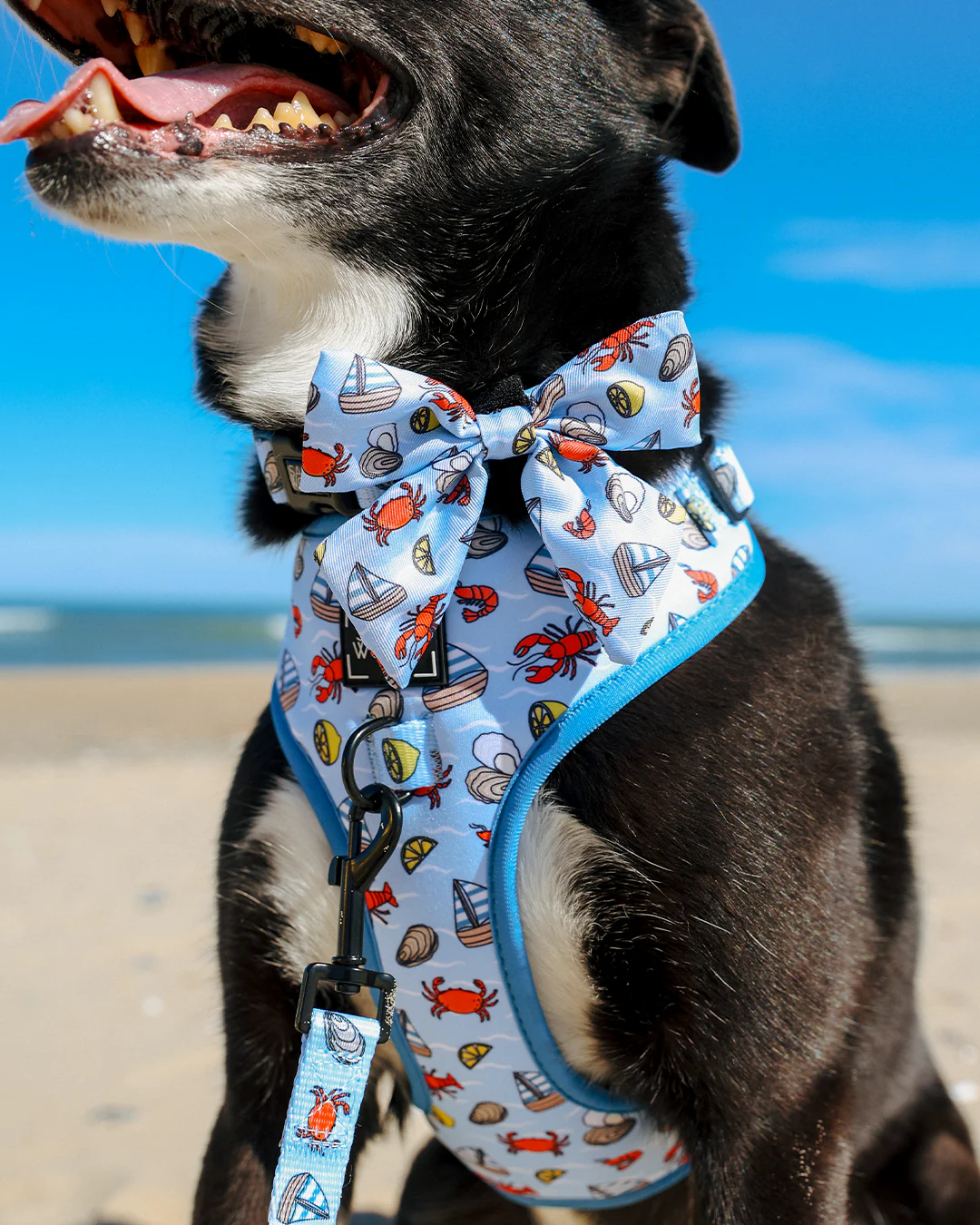 Dog Sailor Bow - Coastal Cuties - Image 5