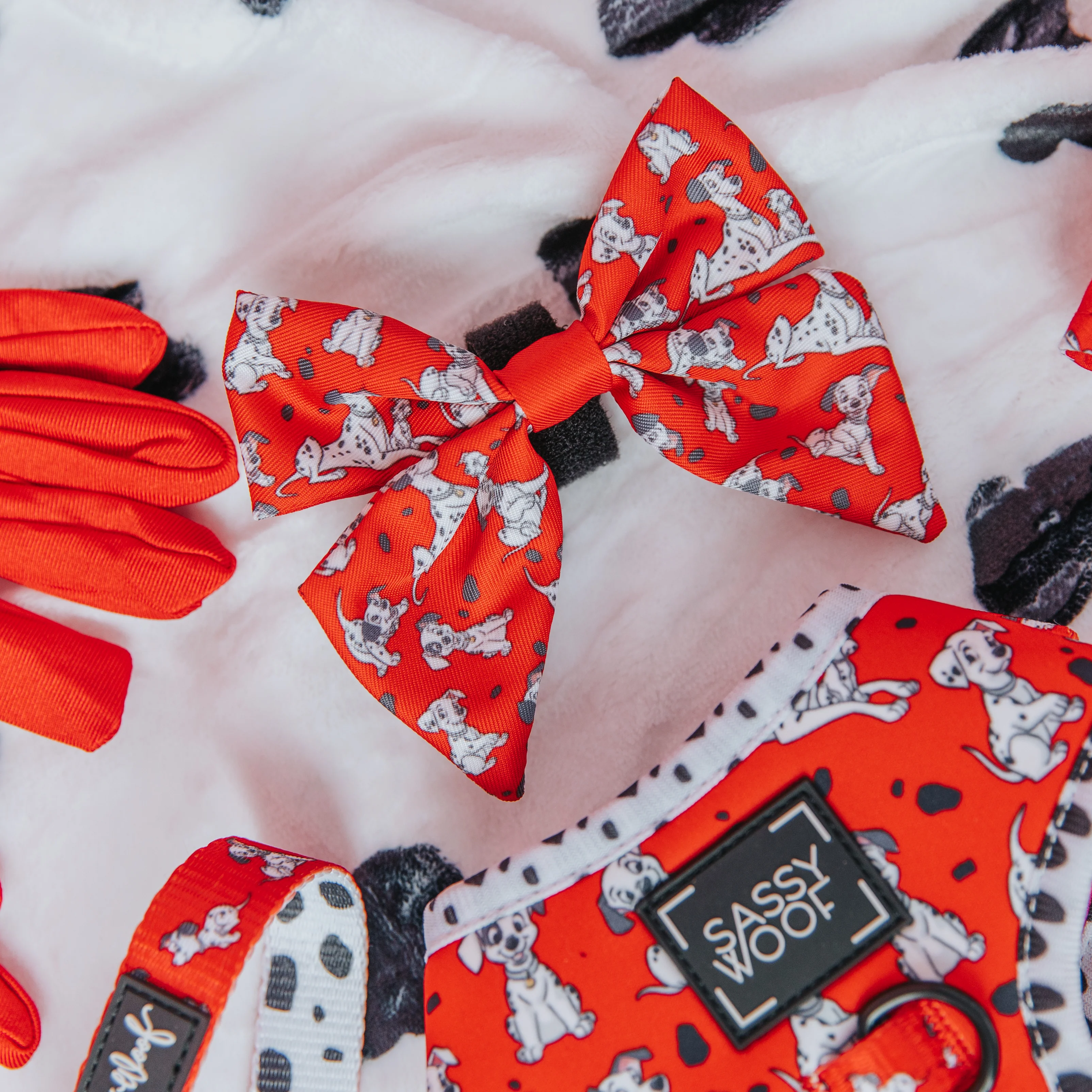 Dog Sailor Bow - Disney's 101 Dalmatians - Image 4