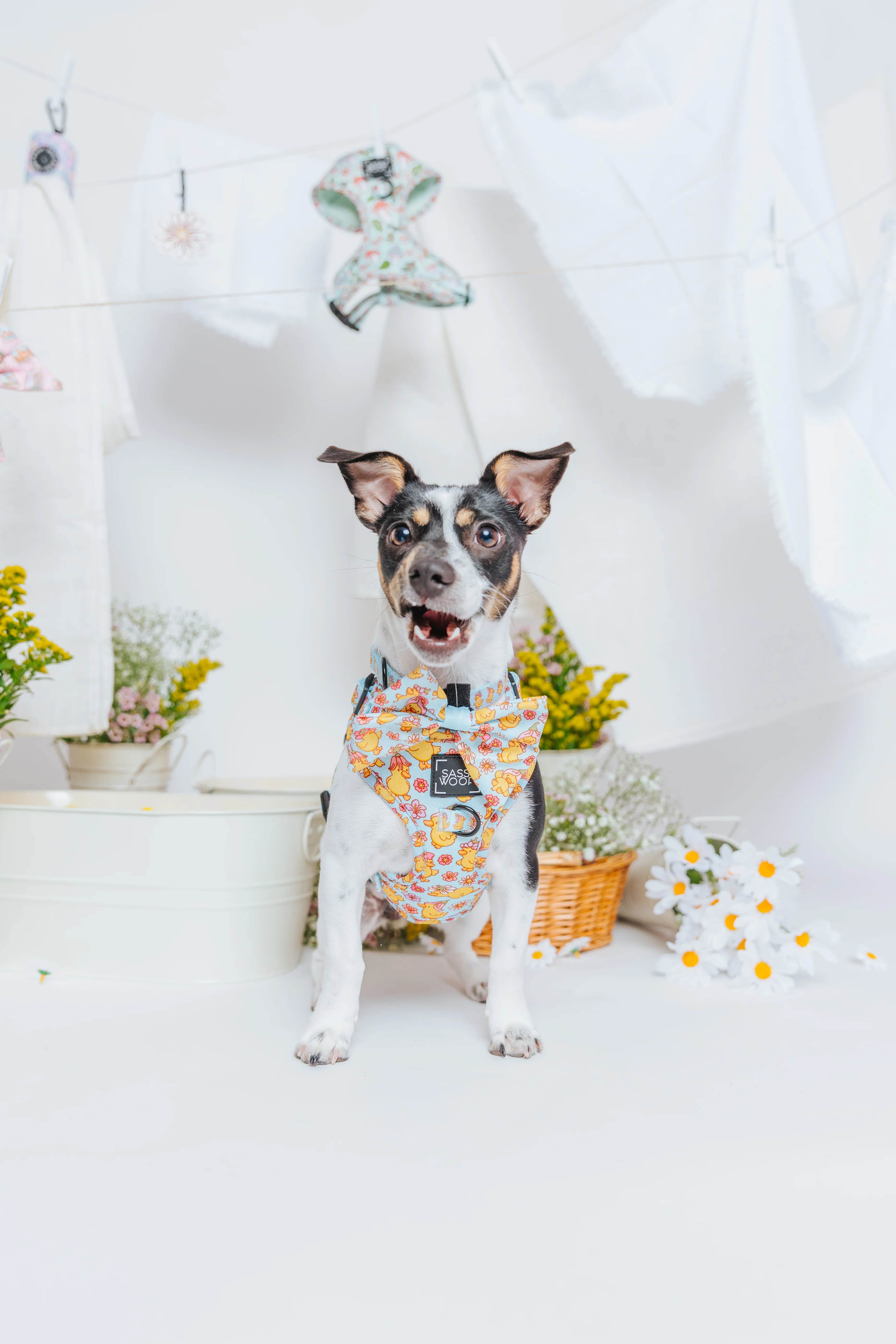 Dog Sailor Bow - Good Duck, Babe! - Image 6