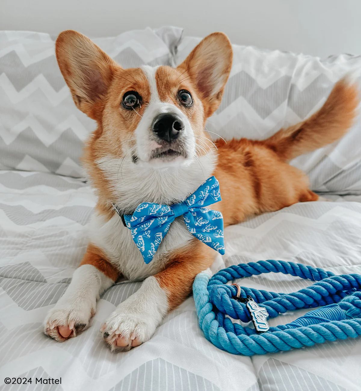 Dog Sailor Bow - KEN™ - Image 5
