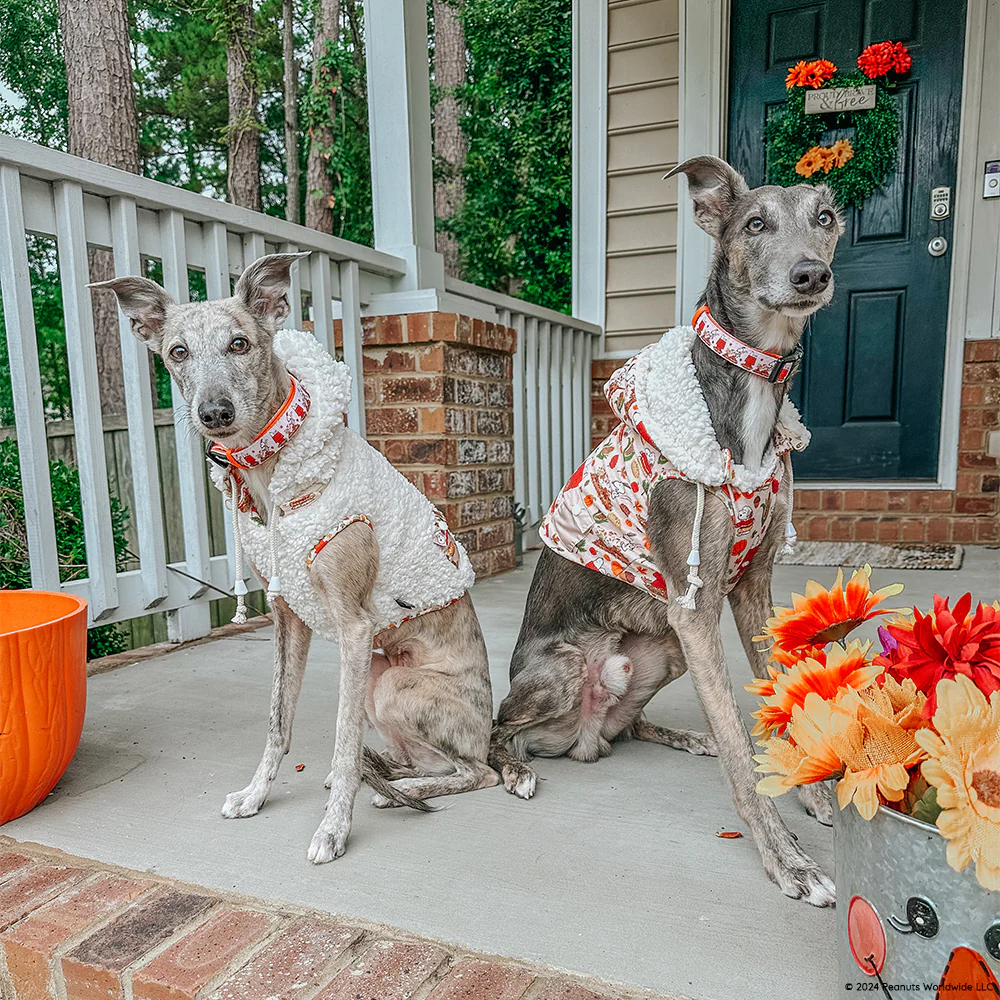 Dog Reversible Sherpa Jacket - Peanuts™ Harvest - Image 16