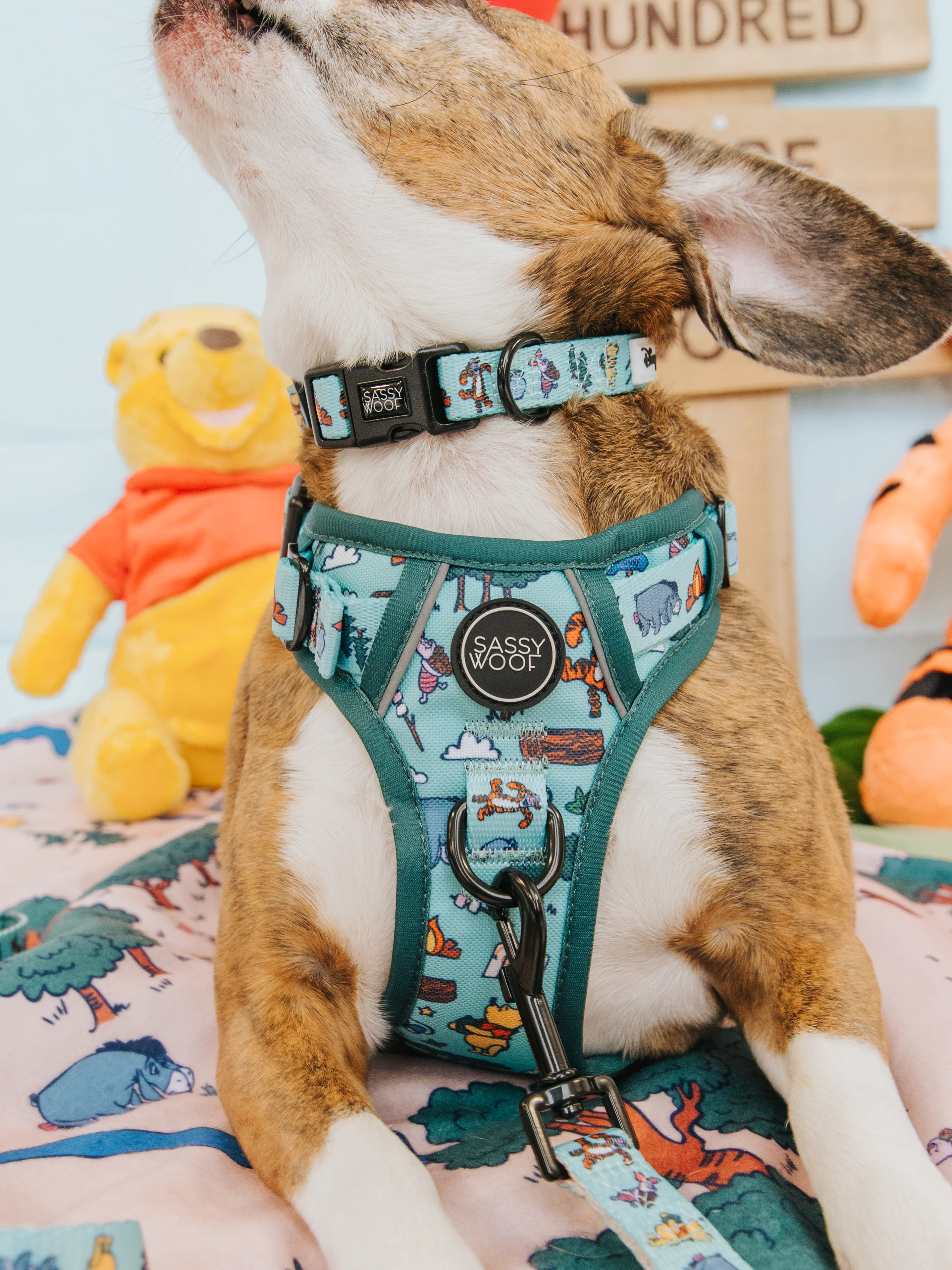 Dog Step-in Harness - Disney's Winnie the Pooh - Image 11