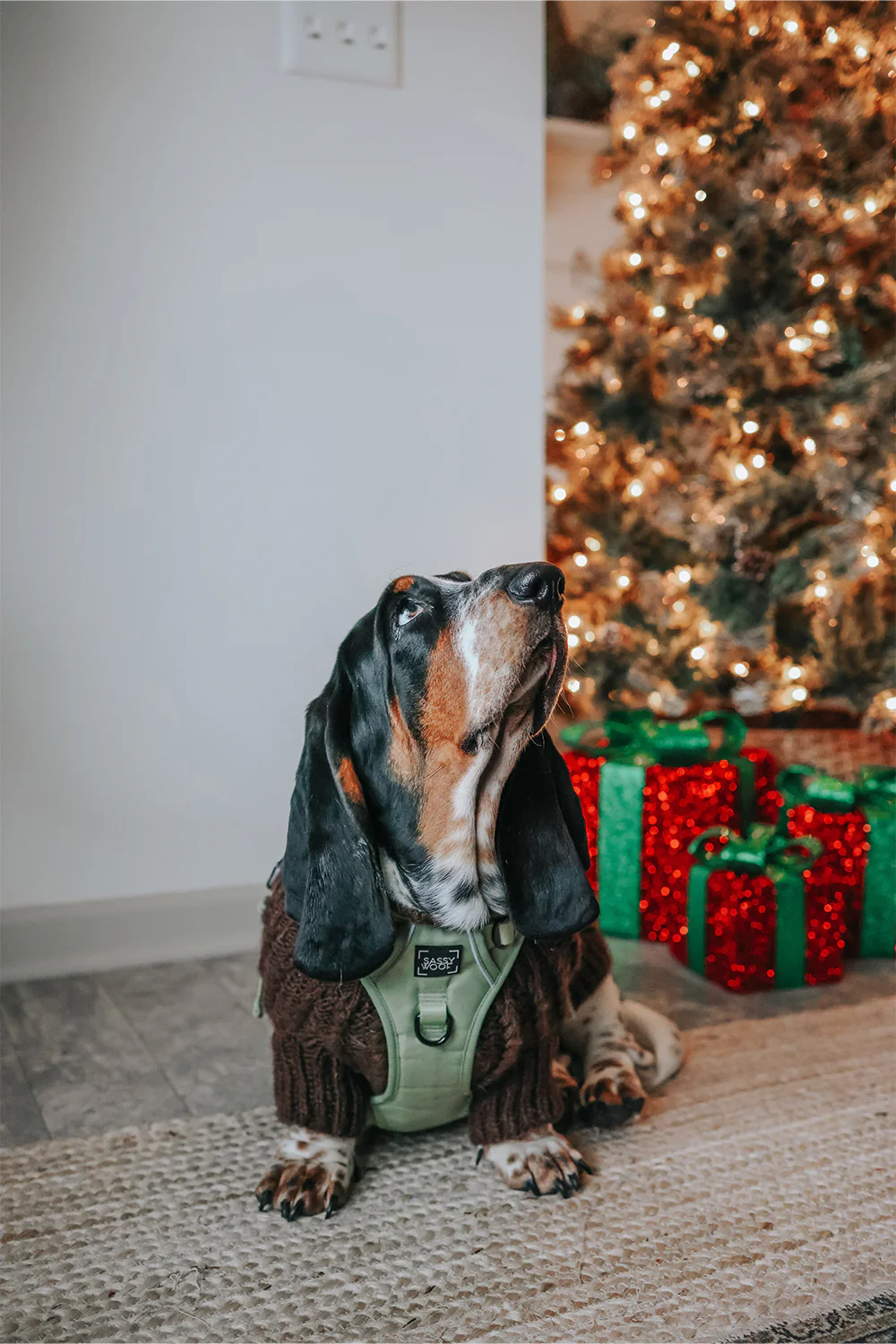 Dog Step-in Harness - Matcha - Image 13