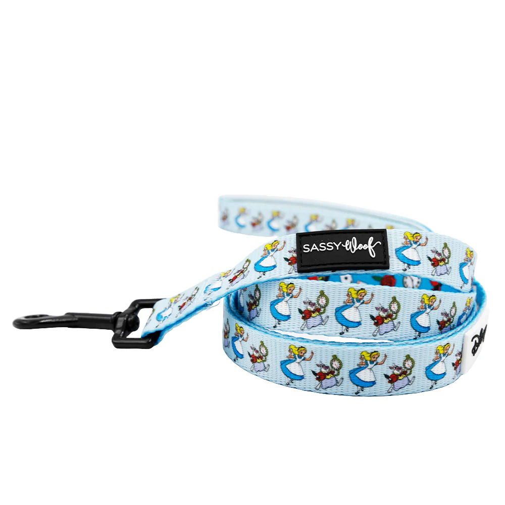 Dog Three Piece Bundle - Alice in Wonderland (Blue) - Image 4
