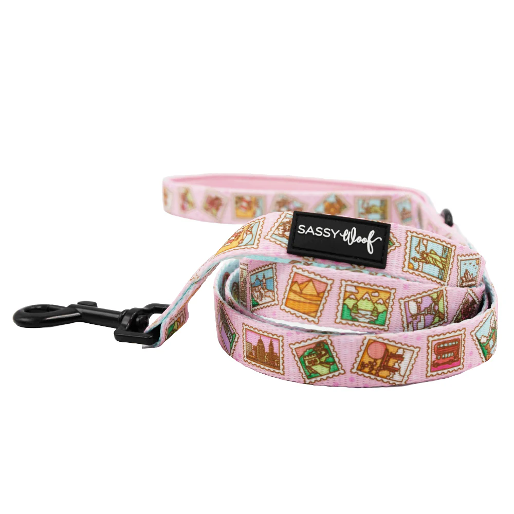 Dog Three Piece Bundle - Out of Office - Image 4