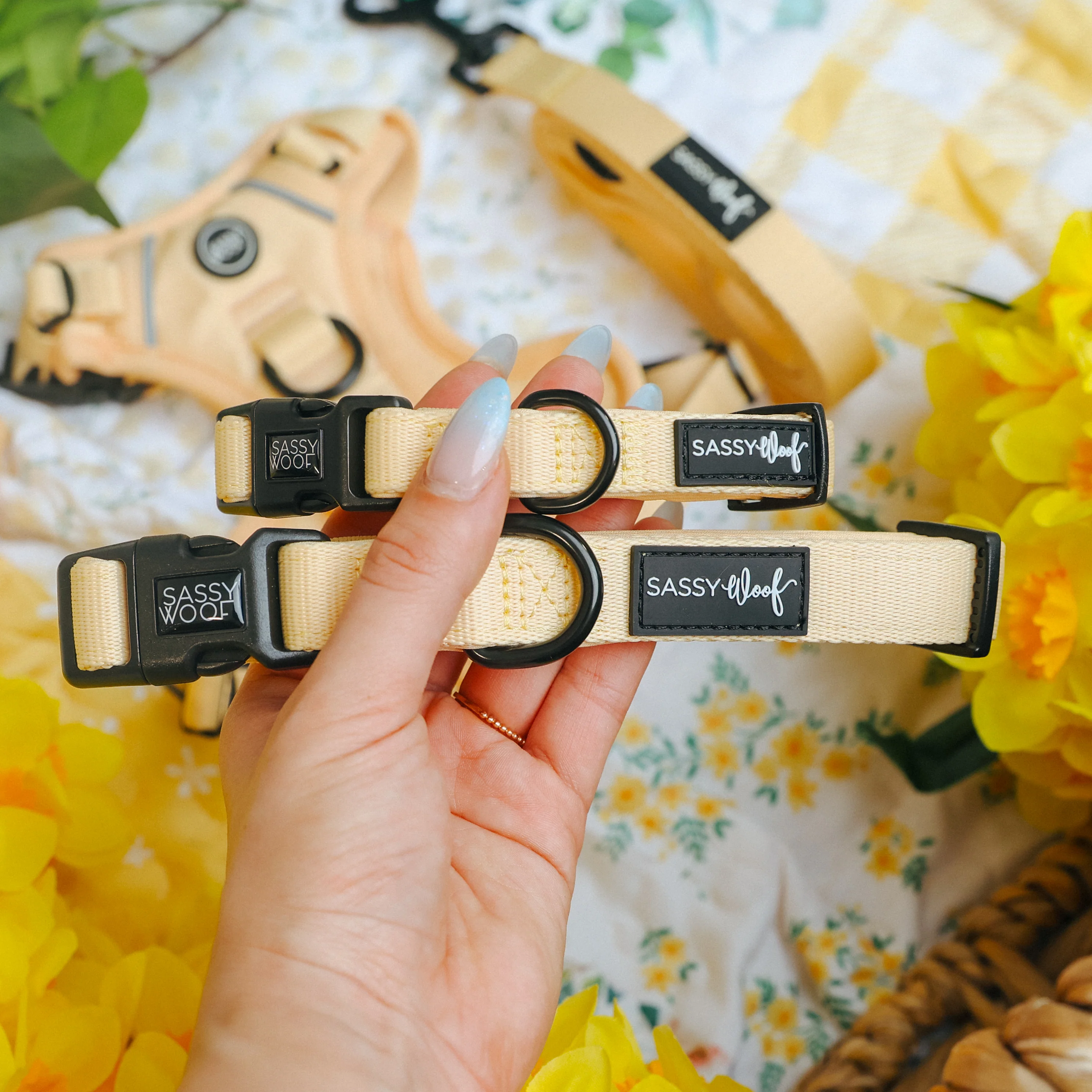 Dog Three Piece Bundle - Daffodil - Image 8