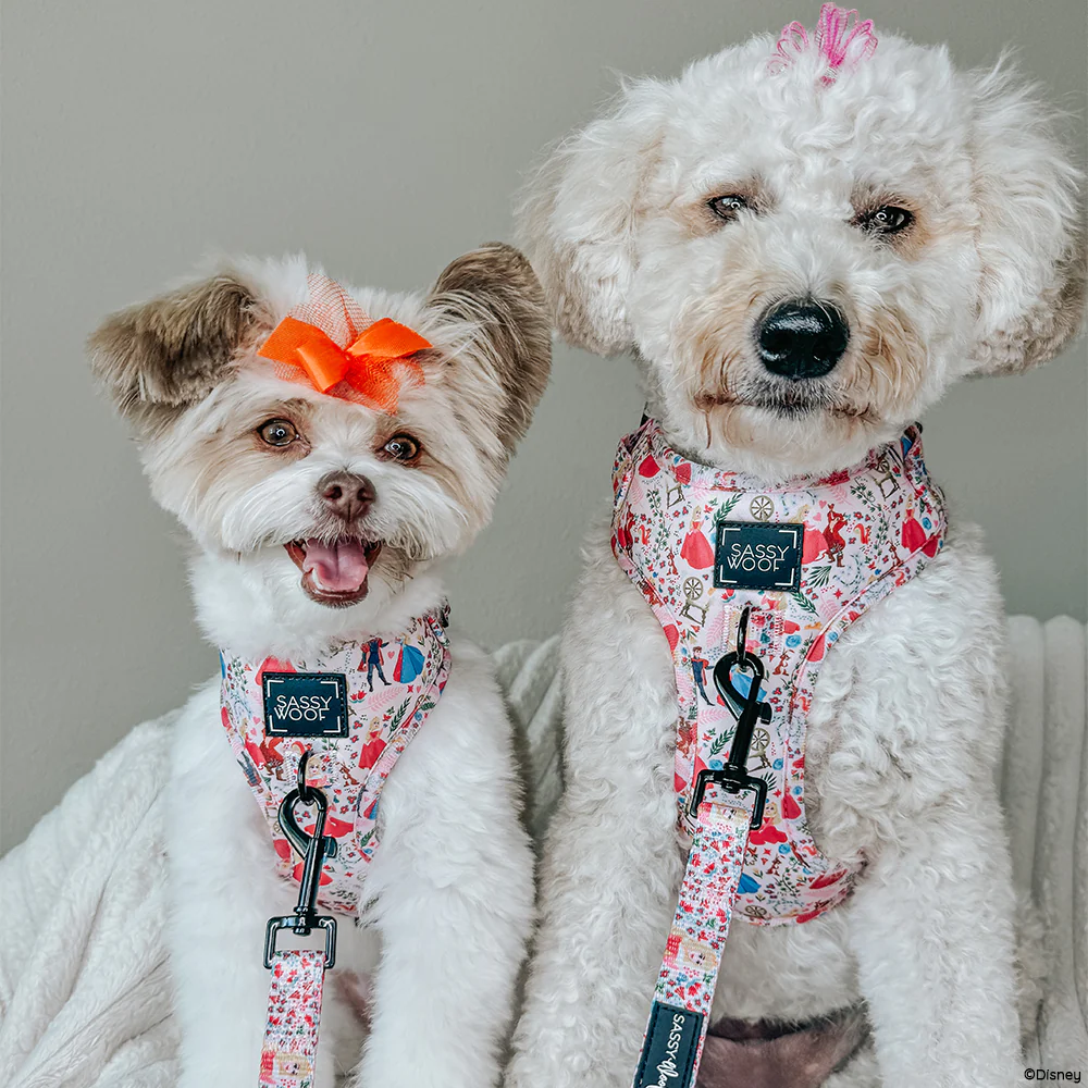 Harness Three Piece Bundle - Disney's Aurora - Image 9