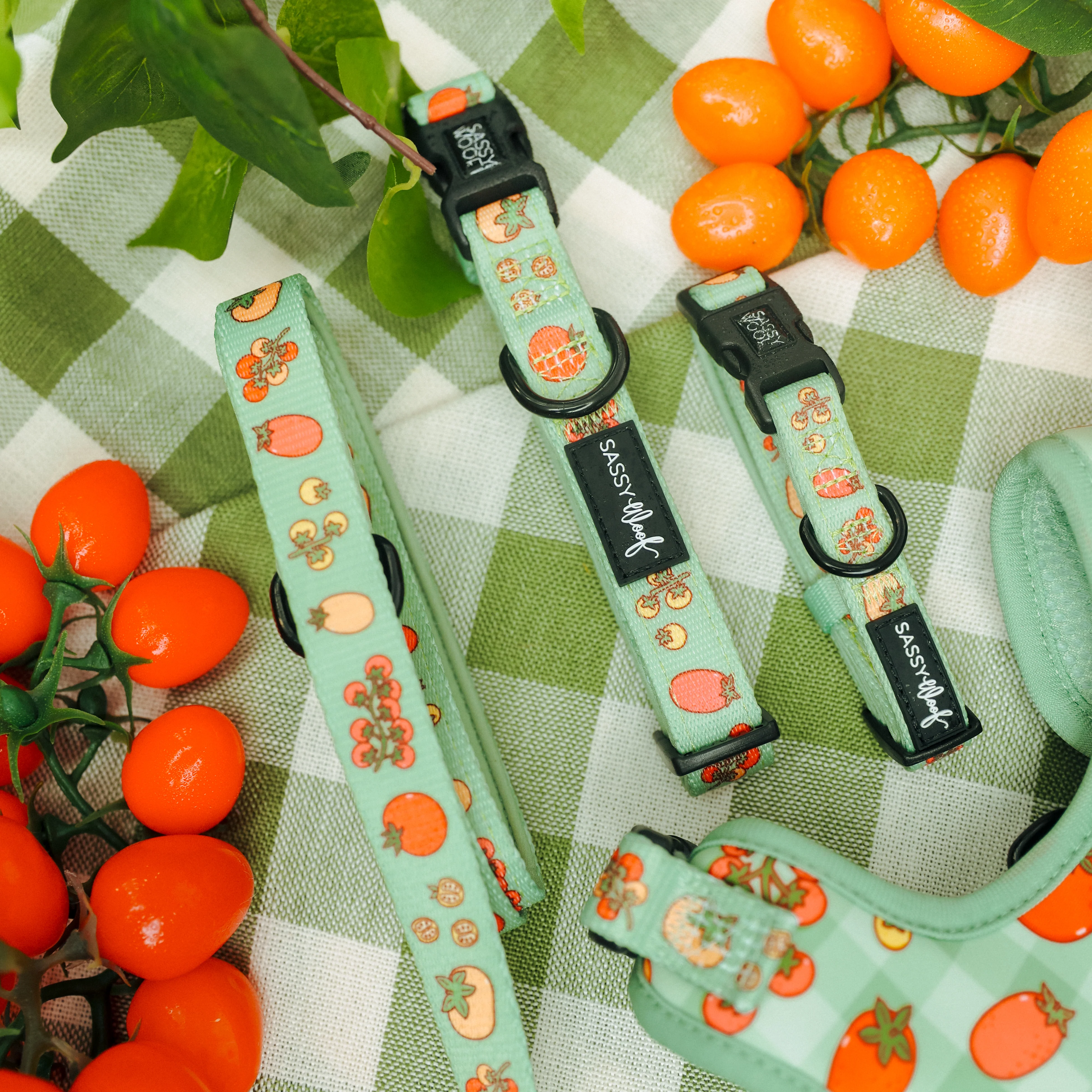 Dog Three Piece Bundle - Feeling Vine - Image 9
