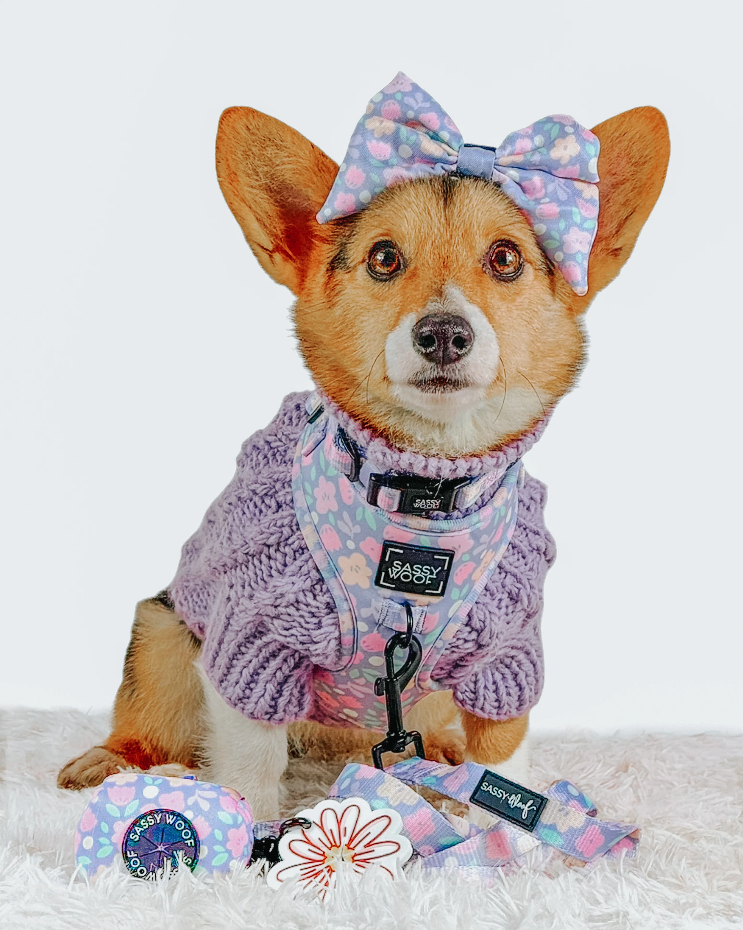 Dog Three Piece Bundle - Fleur de Sass - Image 10
