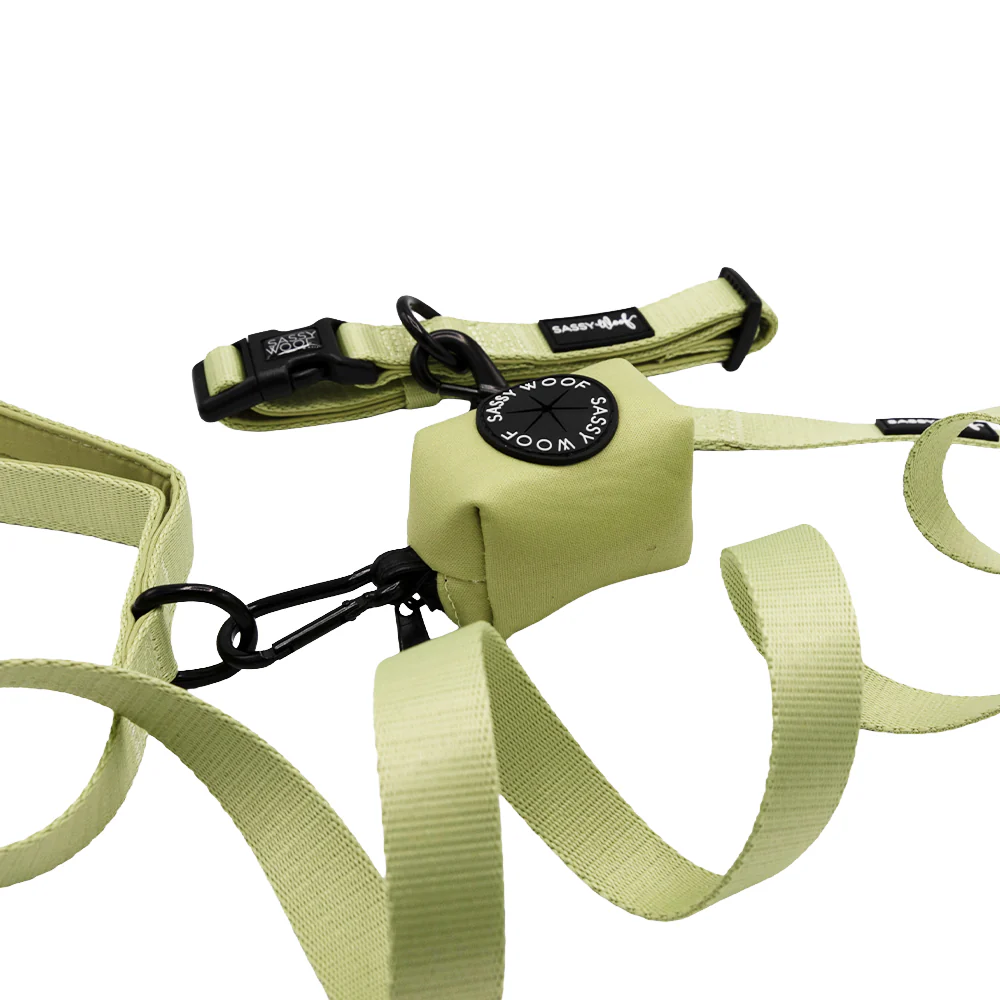 Dog Three Piece Bundle - Matcha - Image 2