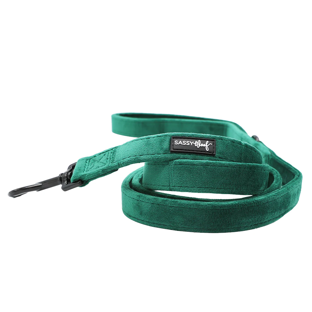 Dog Three Piece Bundle - Nice - Image 4