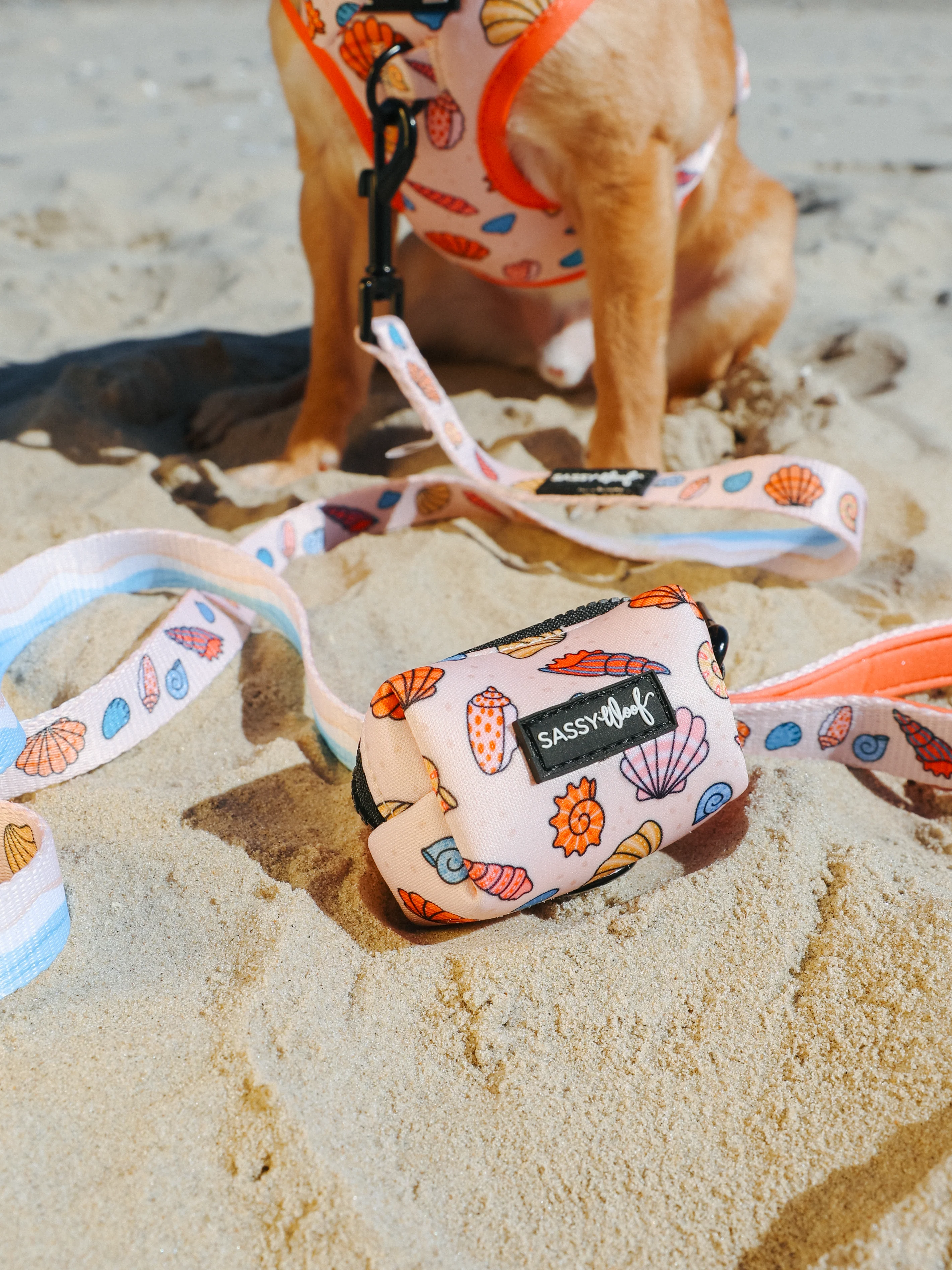 Dog Three Piece Bundle - Shell Yeah - Image 11
