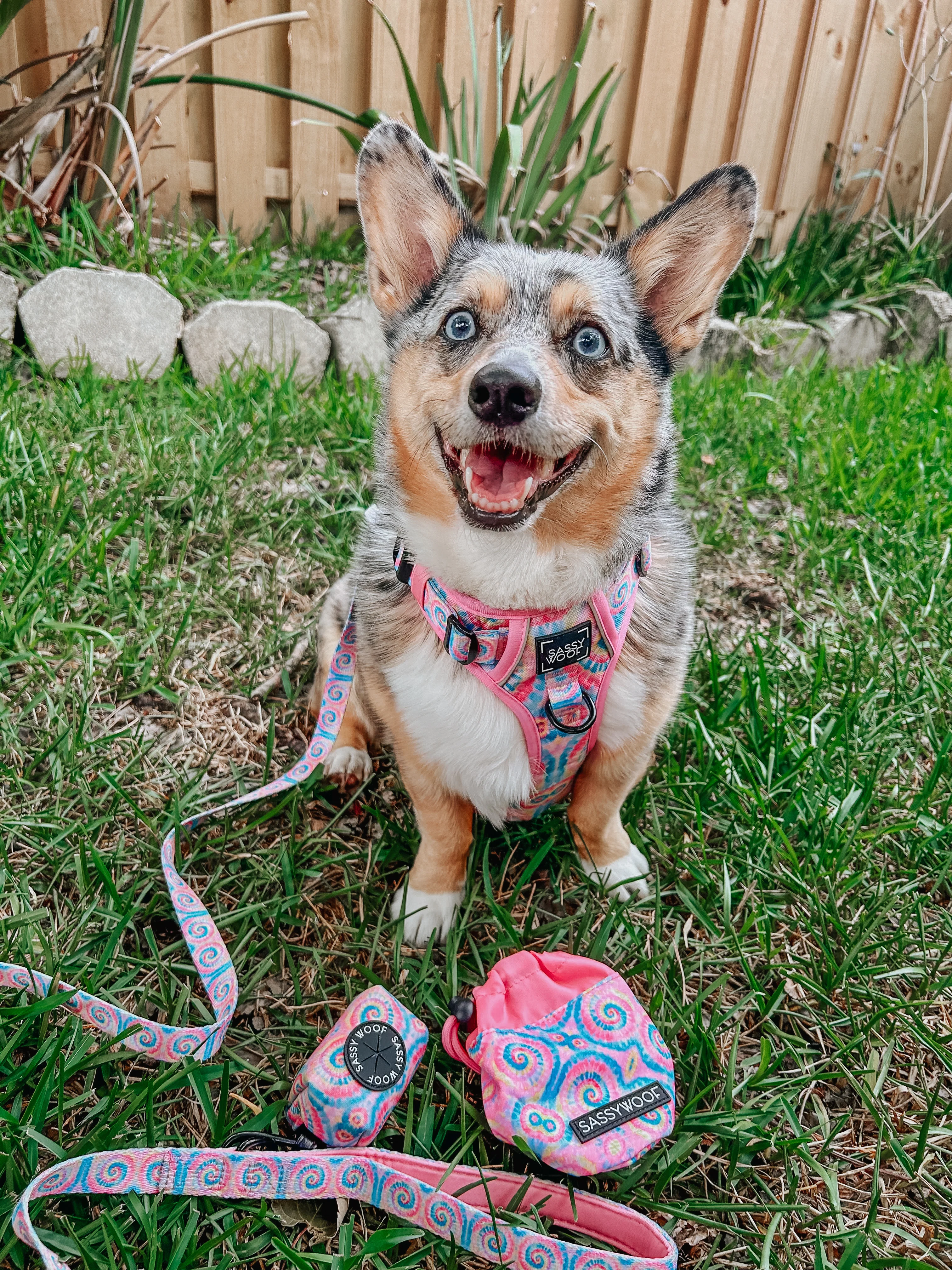 Treat Pouch - Good Vibes - Image 6