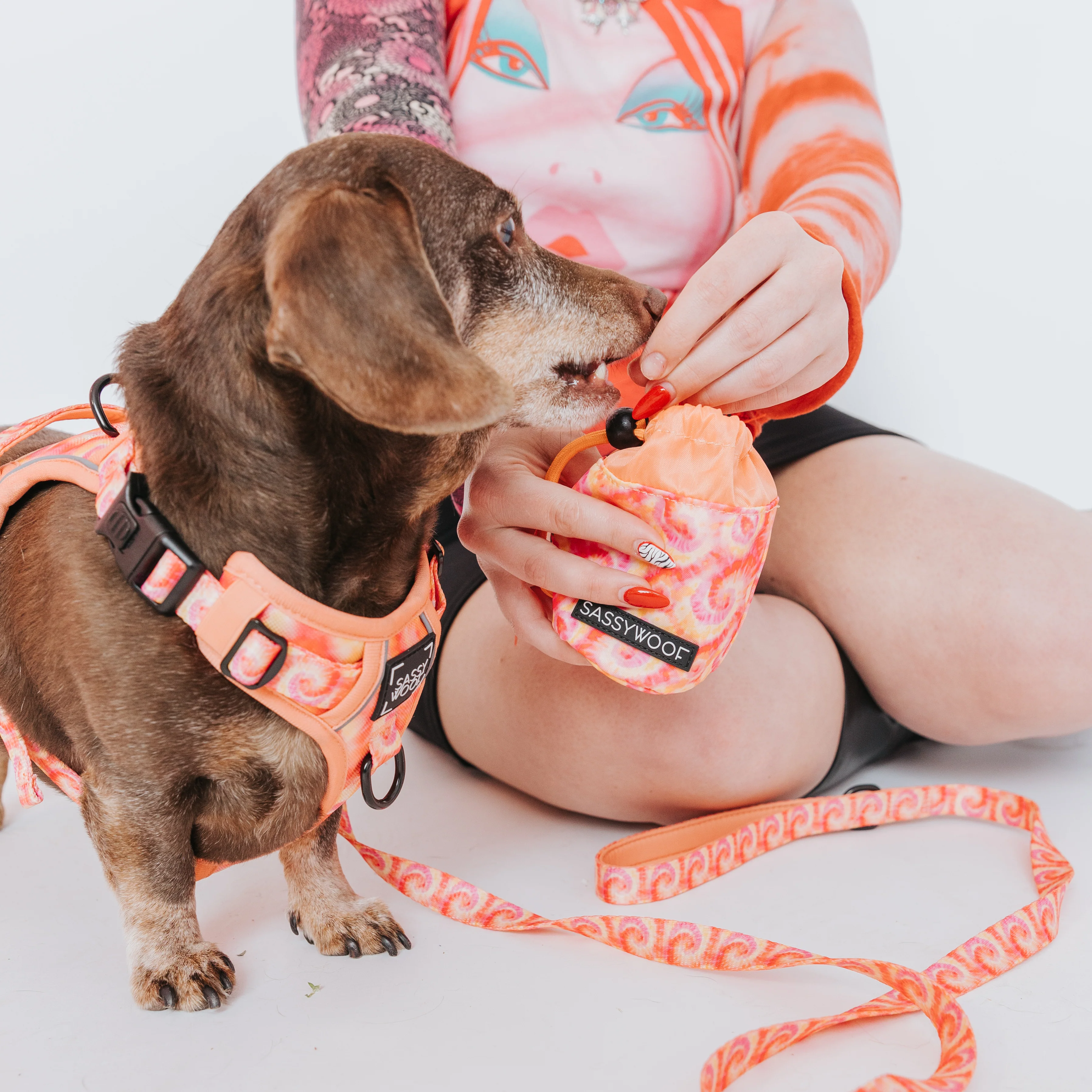 Treat Pouch - Summer Sorbet - Image 5