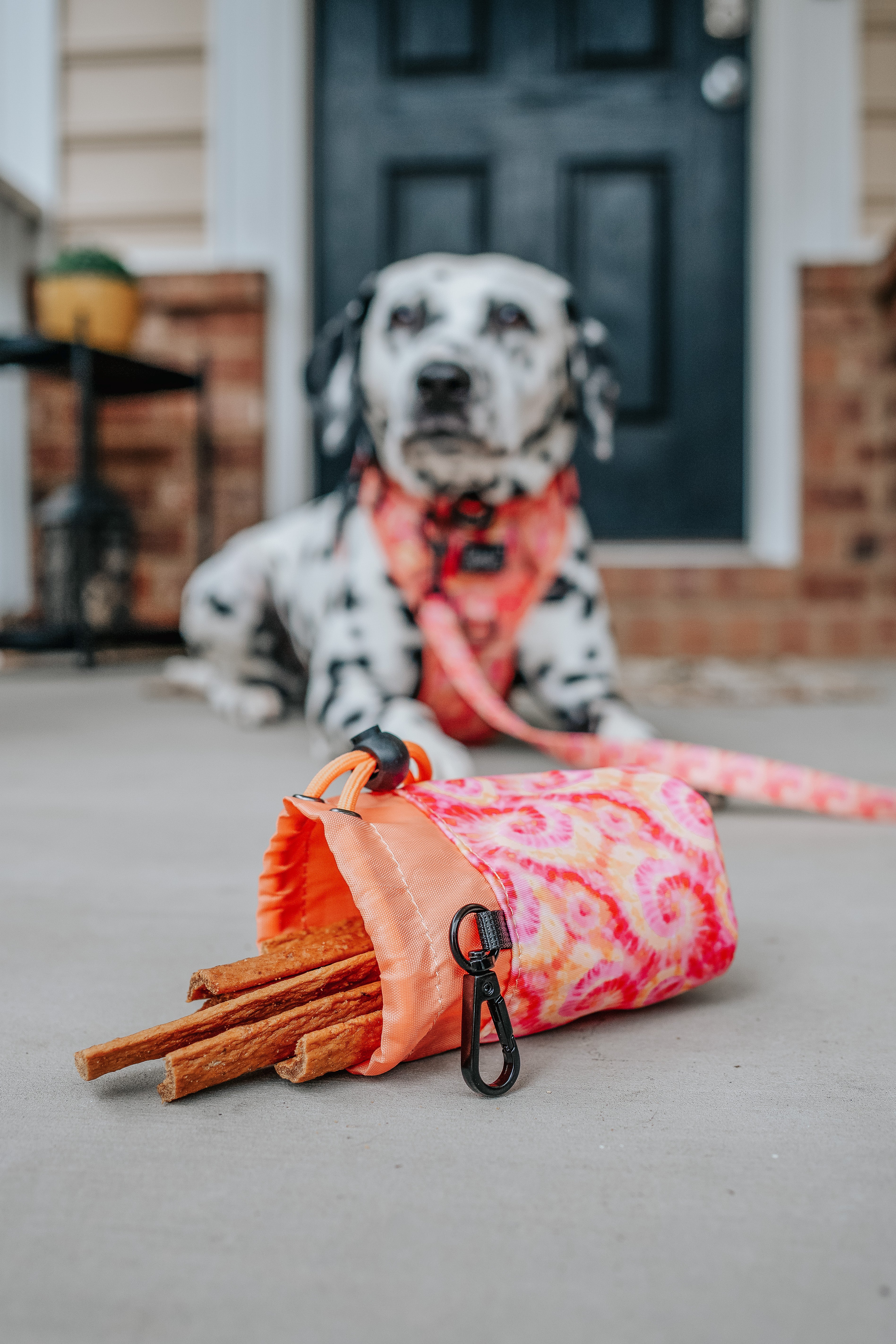 Treat Pouch - Summer Sorbet - Image 6