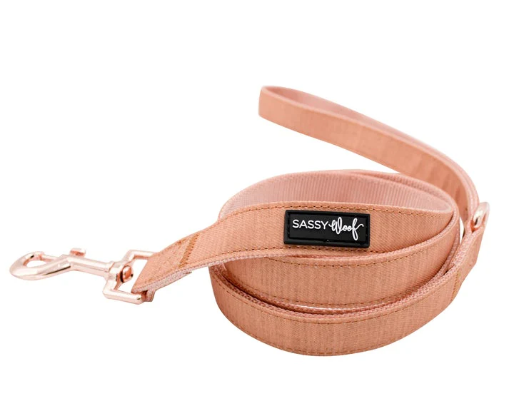 Dog Two Piece Bundle - Apple Cider - Image 3