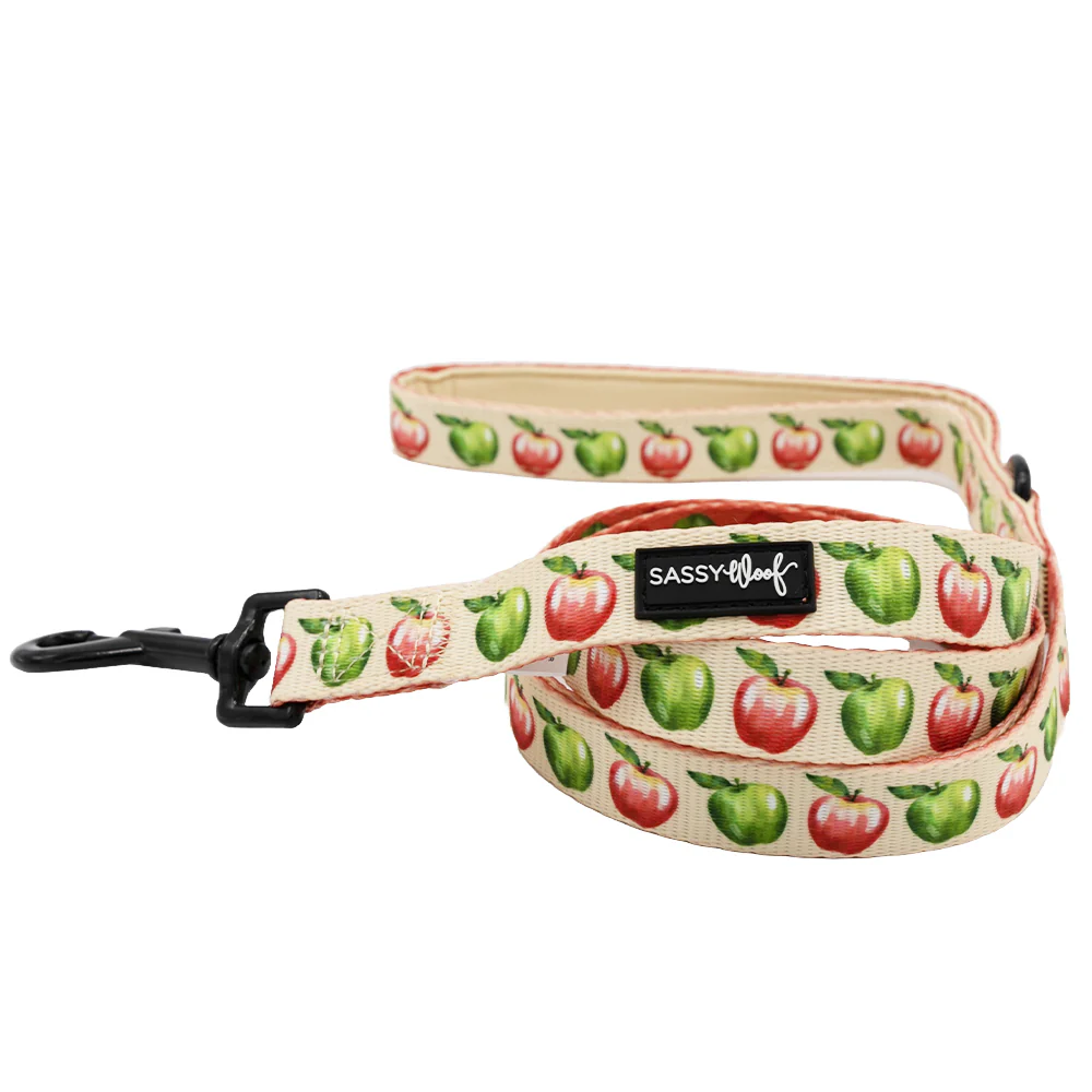 Dog Two Piece Bundle - Apple of My Eye - Image 3