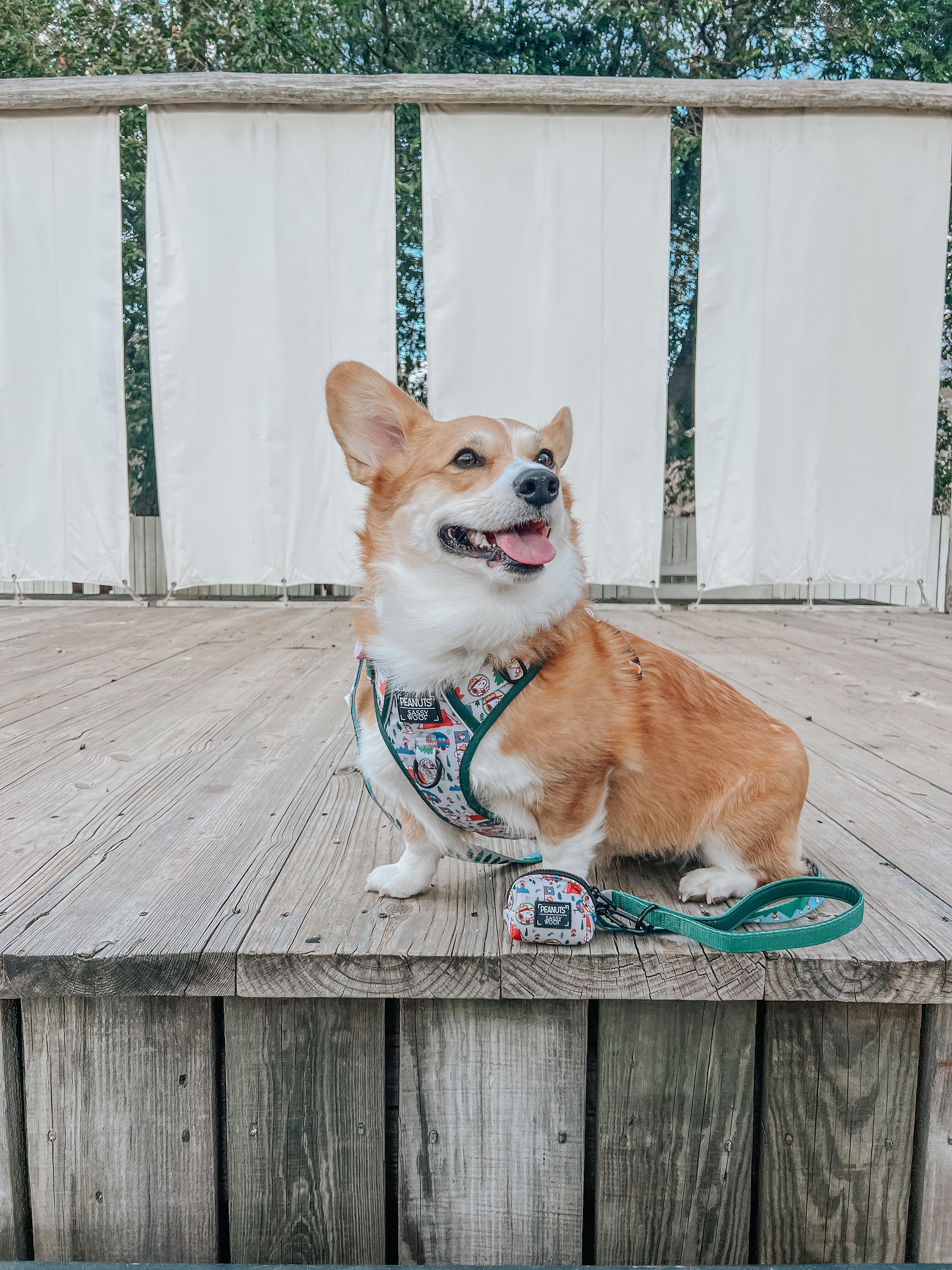 Dog Two Piece Bundle - Peanuts™ Beagle Scouts - Image 11